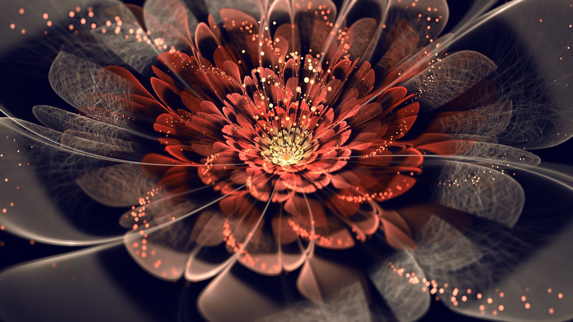 Abstract fractal flower with red and white petals HD Wallpaper