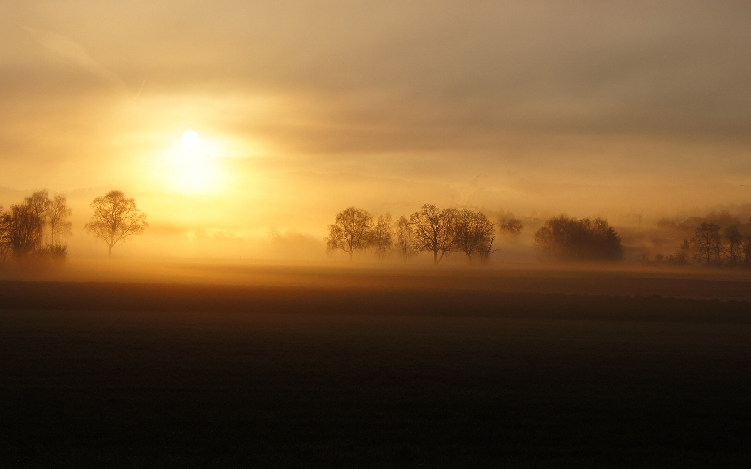 Sunrise over a misty field with trees HD Wallpaper