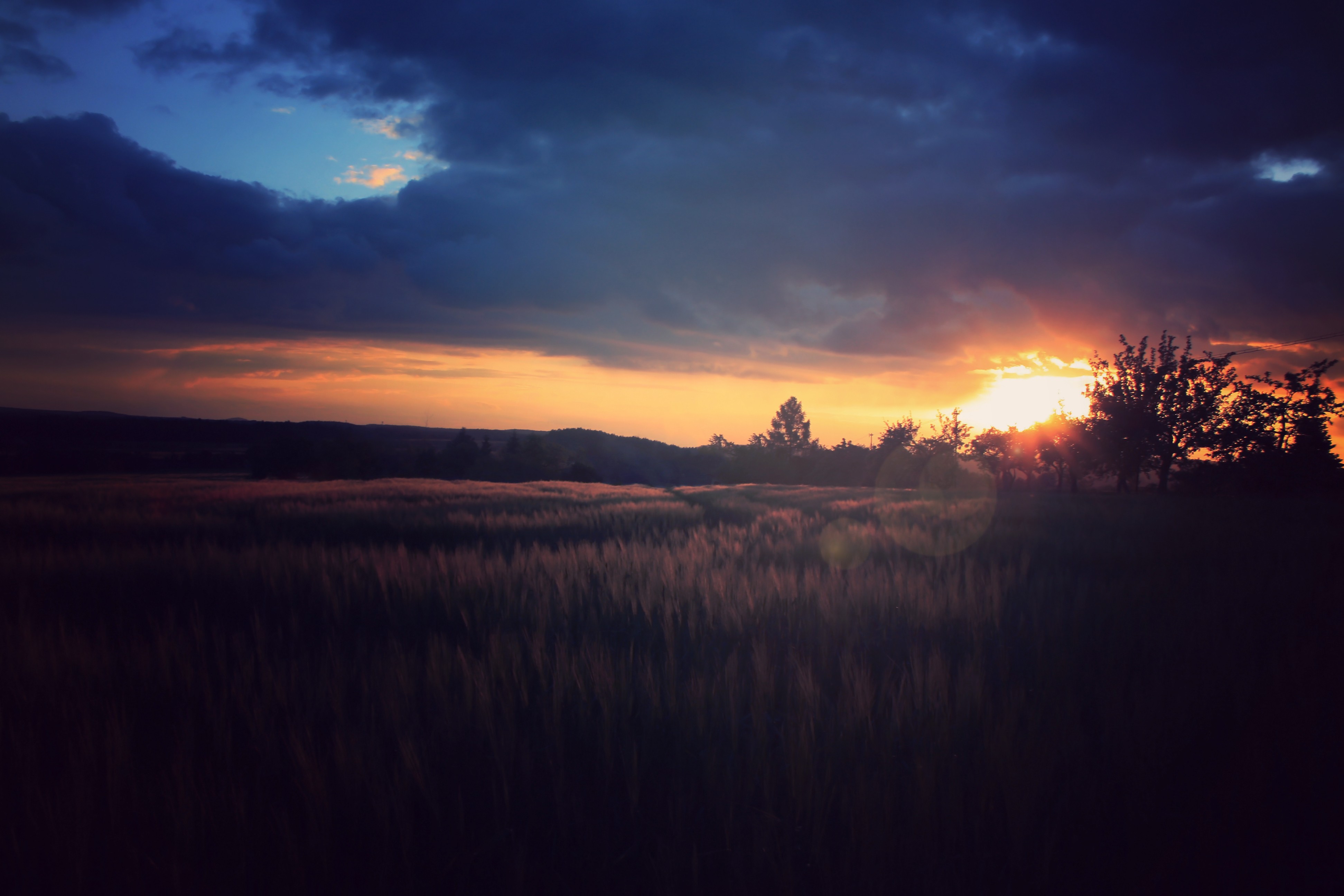 Sunset over a field with dark clouds HD Wallpaper