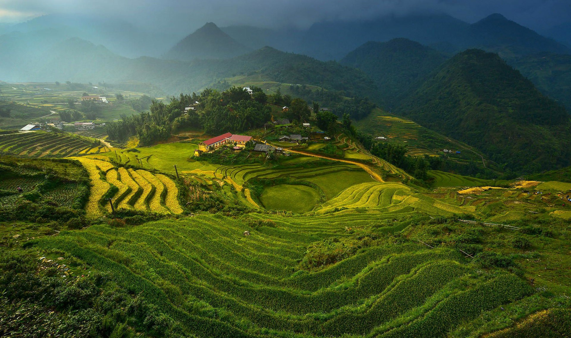 Terraced fields in Vietnam with mountains in the background HD Wallpaper