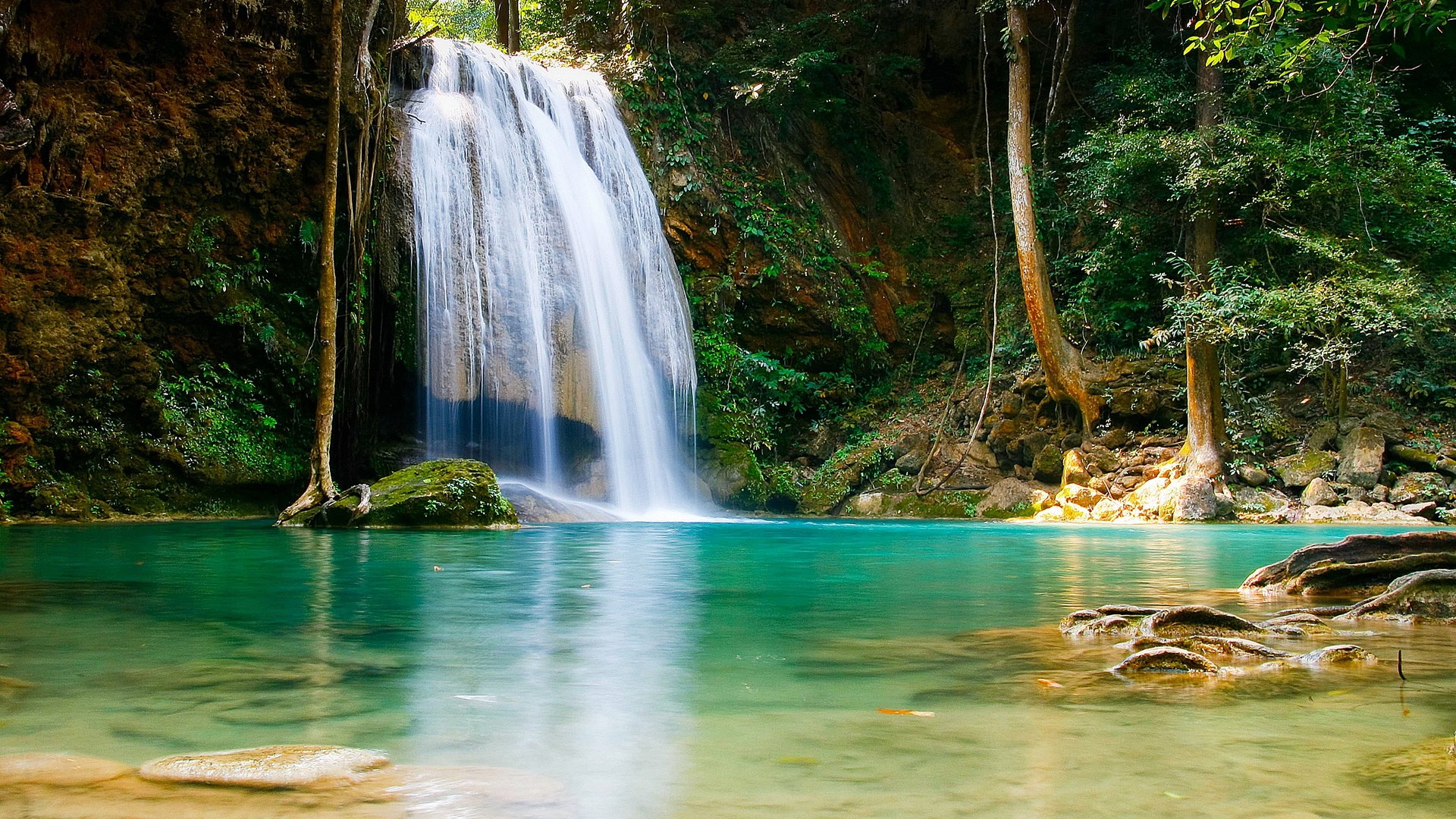Waterfall cascading into a turquoise pool in a lush forest HD Wallpaper