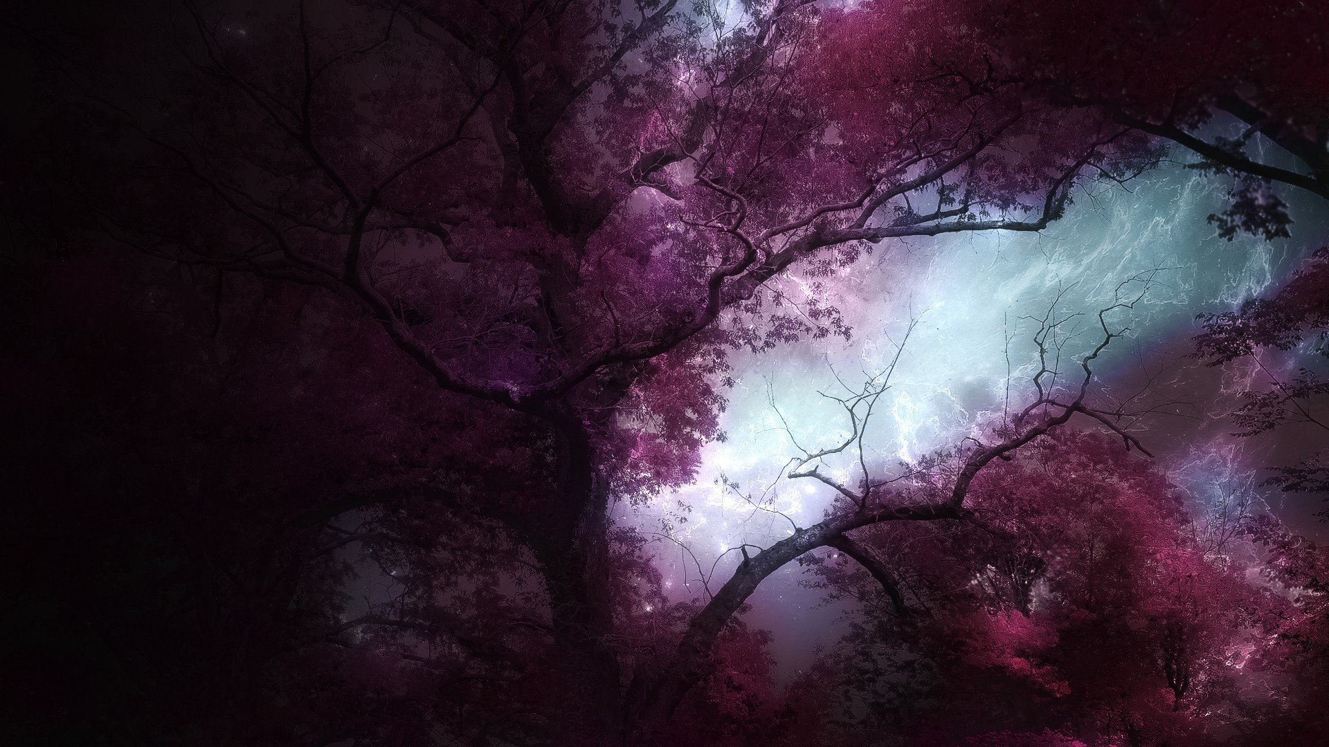 Digital art of trees during a lightning storm HD Wallpaper