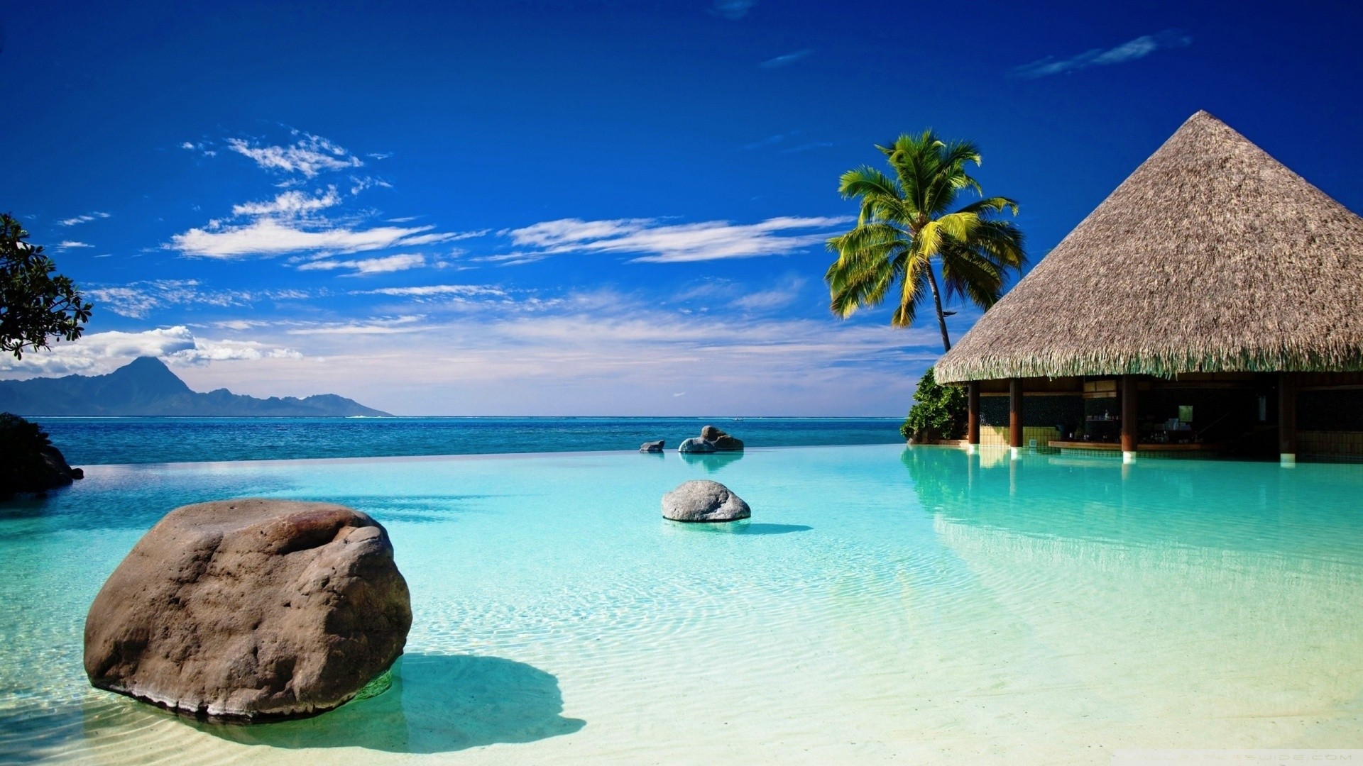 Tropical beach with infinity pool and thatched hut HD Wallpaper