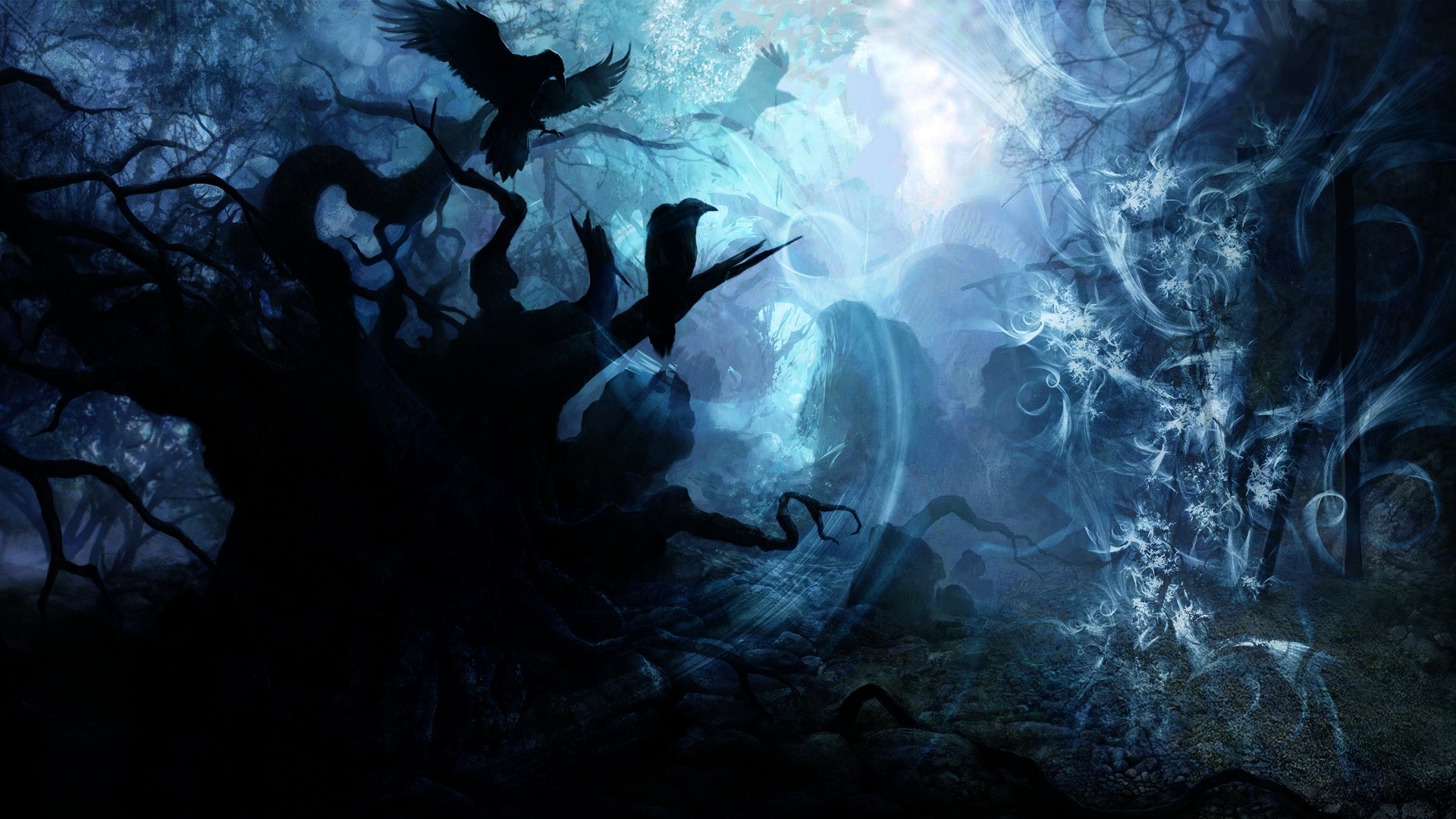 Fantasy art with birds in a dark forest HD Wallpaper
