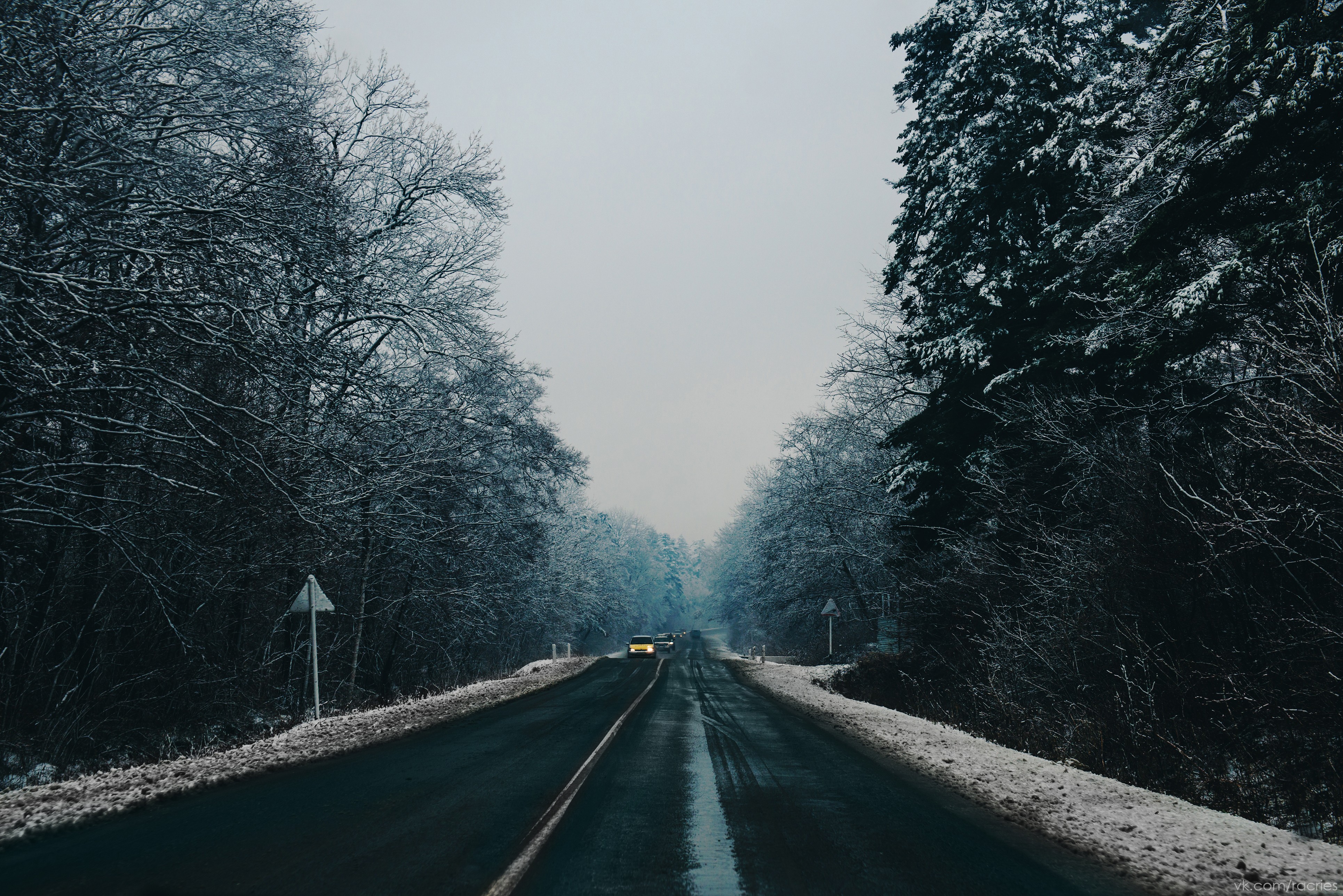 Winter road through a snow-covered forest HD Wallpaper