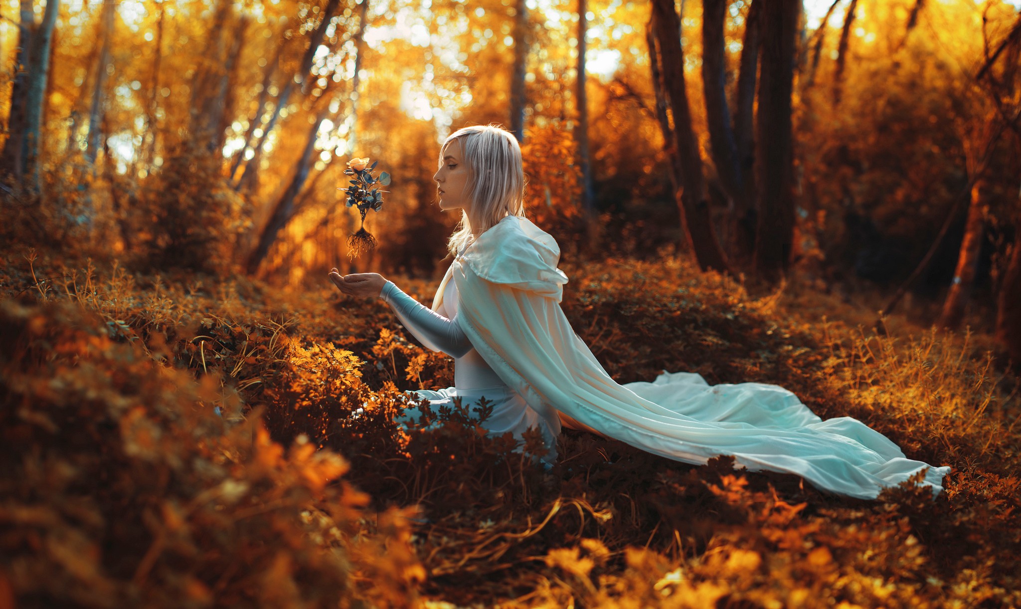 Woman in white dress holding a plant in autumn forest HD Wallpaper