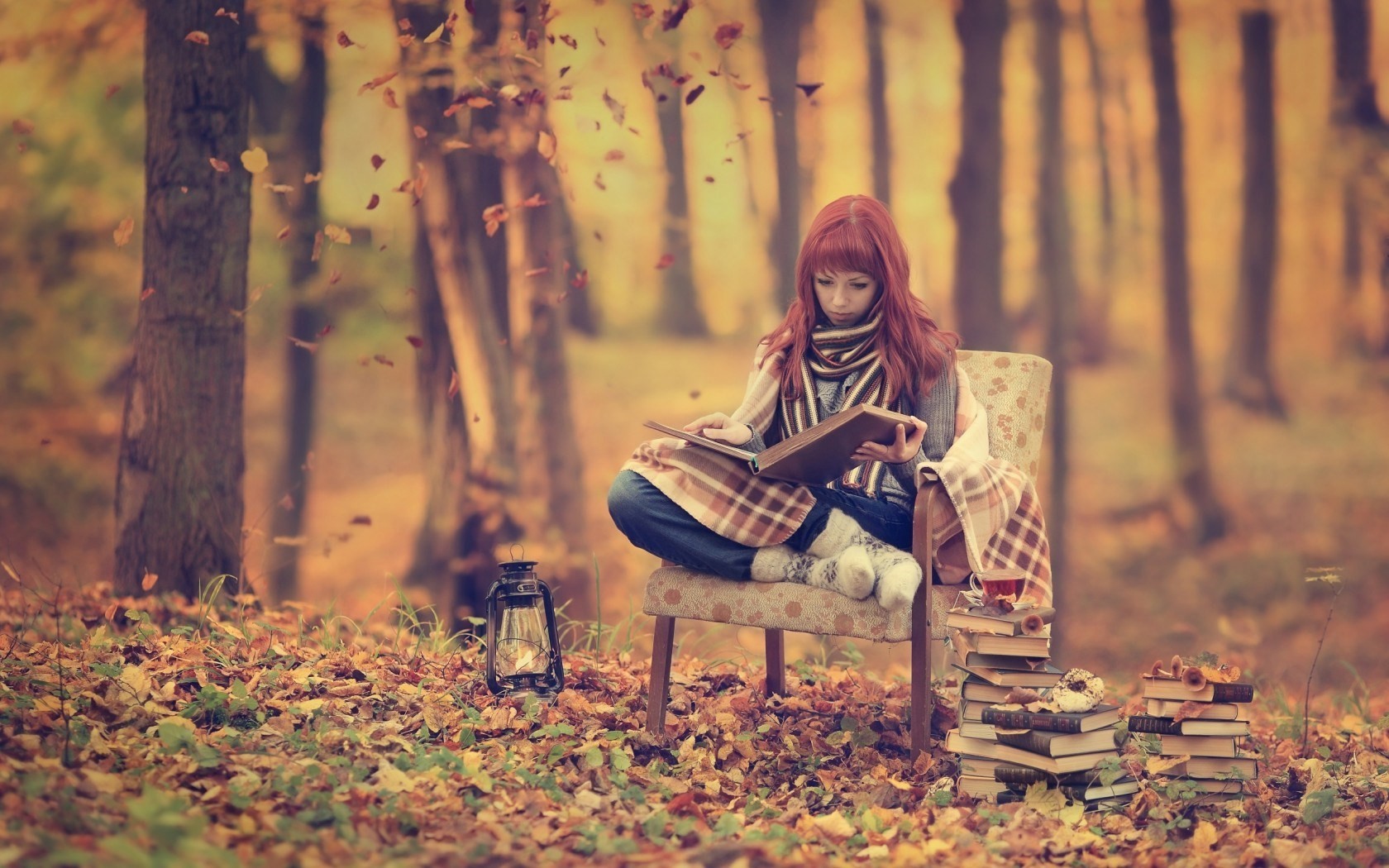 Woman reading a book in an autumn forest HD Wallpaper