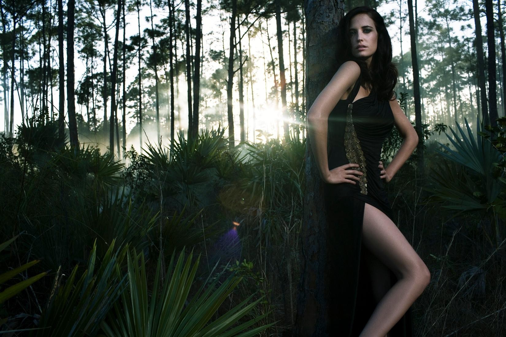 Eva Green in a black dress in a forest HD Wallpaper