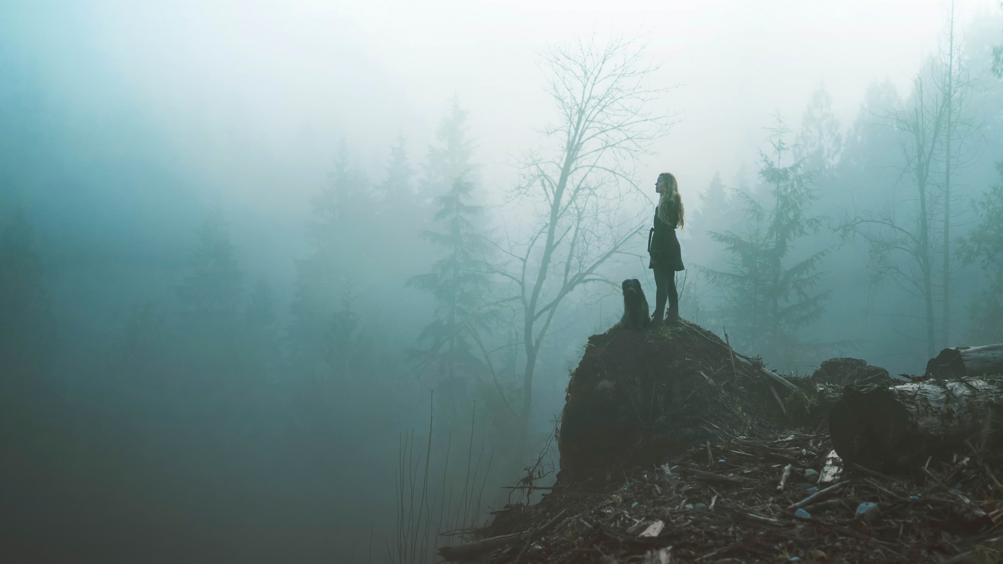 Woman and dog on a foggy cliffside HD Wallpaper
