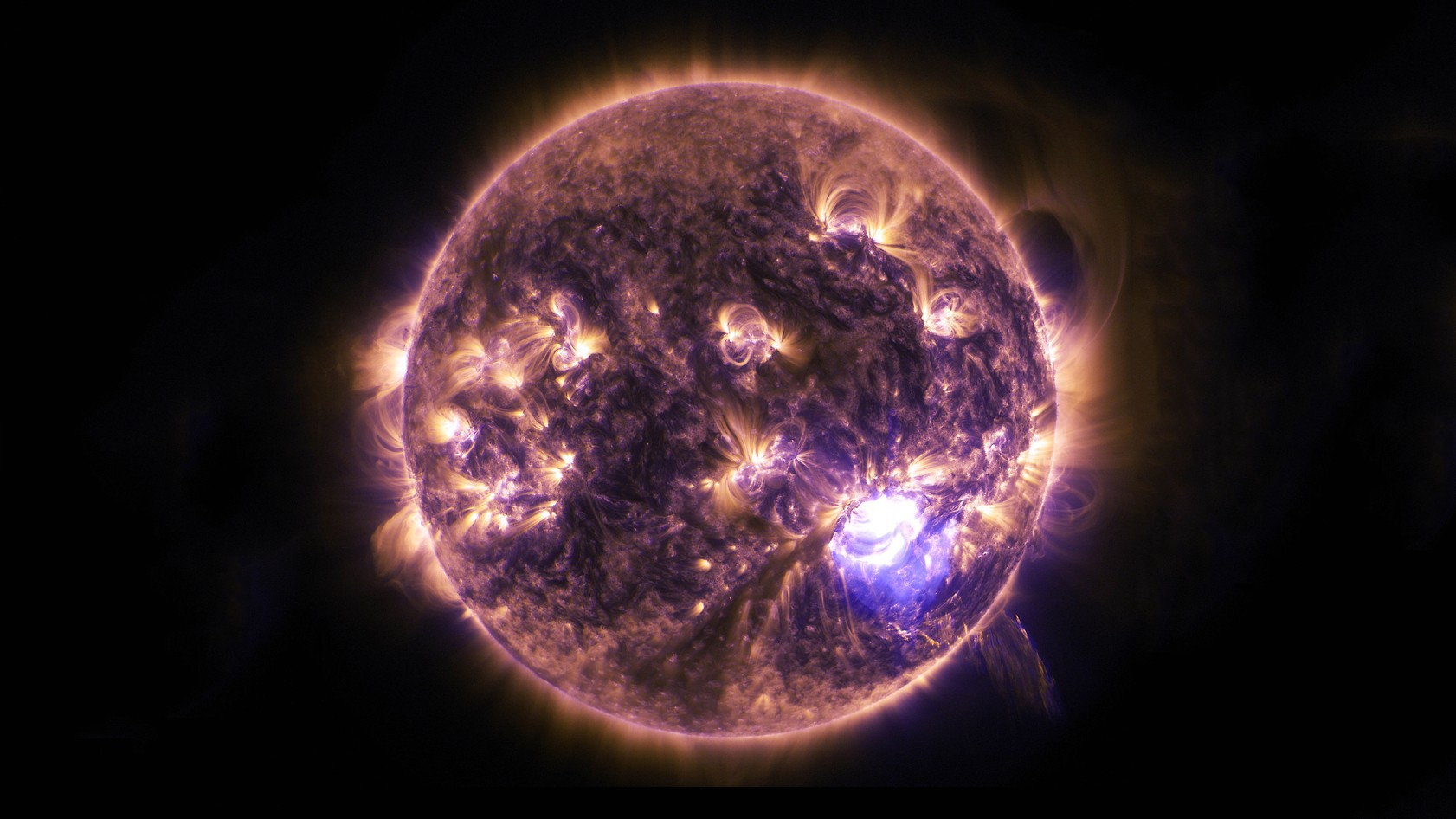 The Sun with solar flares and prominences HD Wallpaper