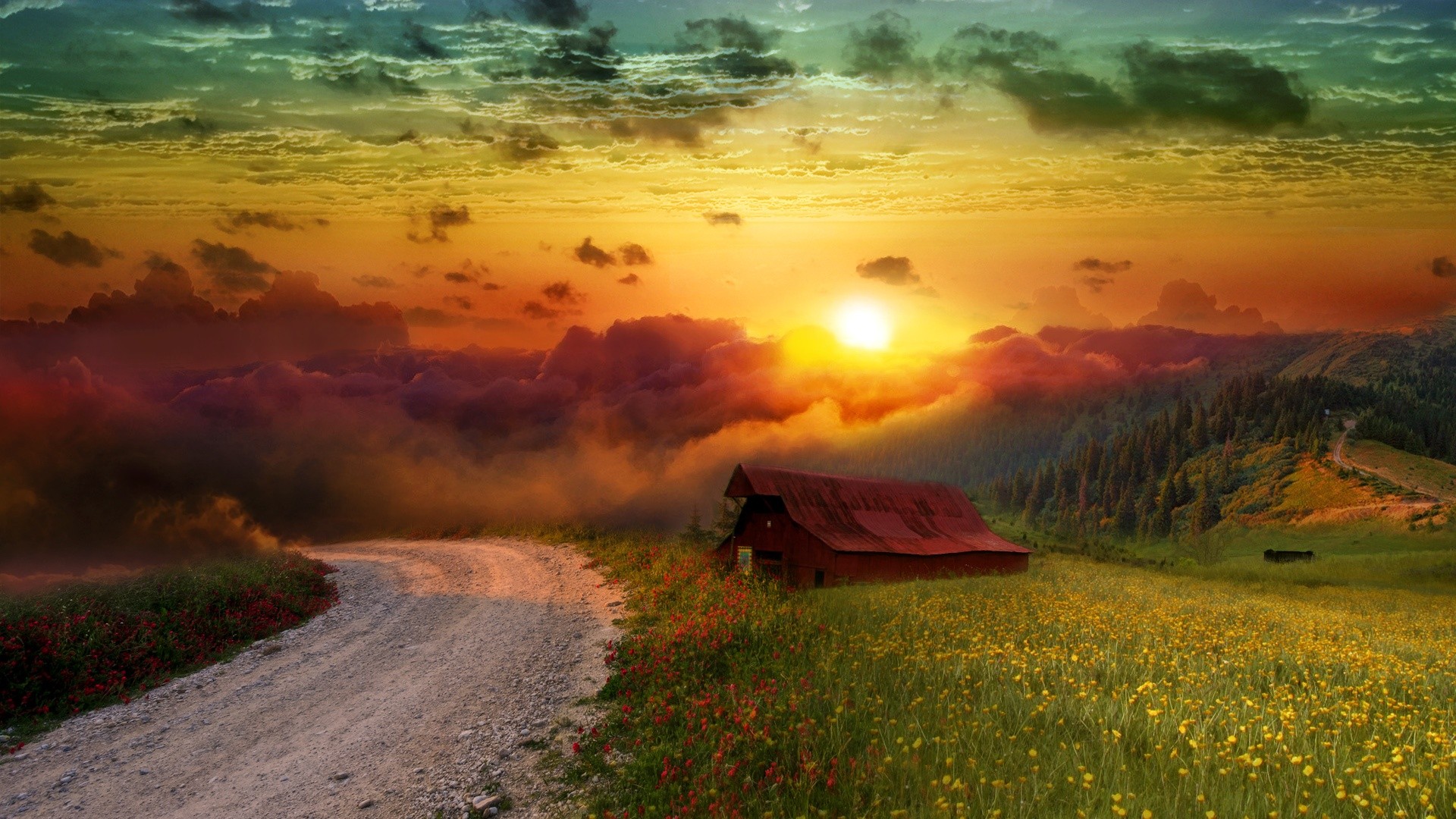Sunset over a barn and meadow HD Wallpaper