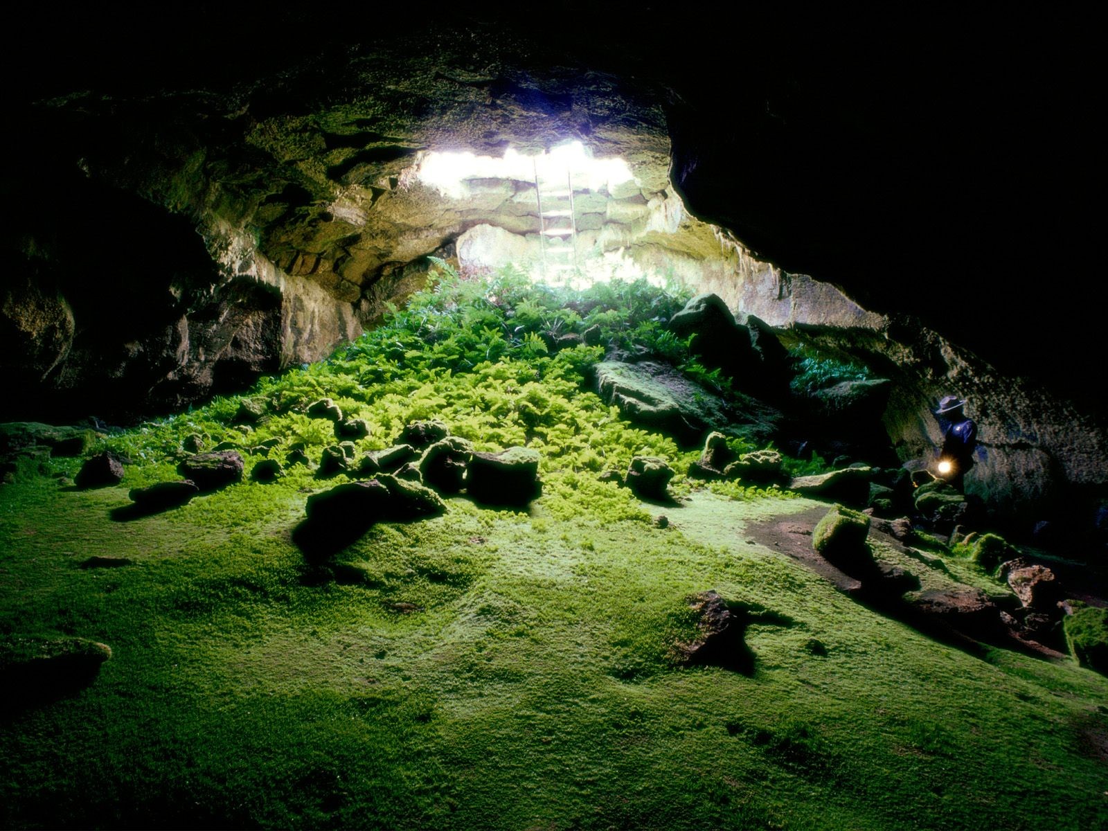 Mossy cave with sunlight and a ladder HD Wallpaper