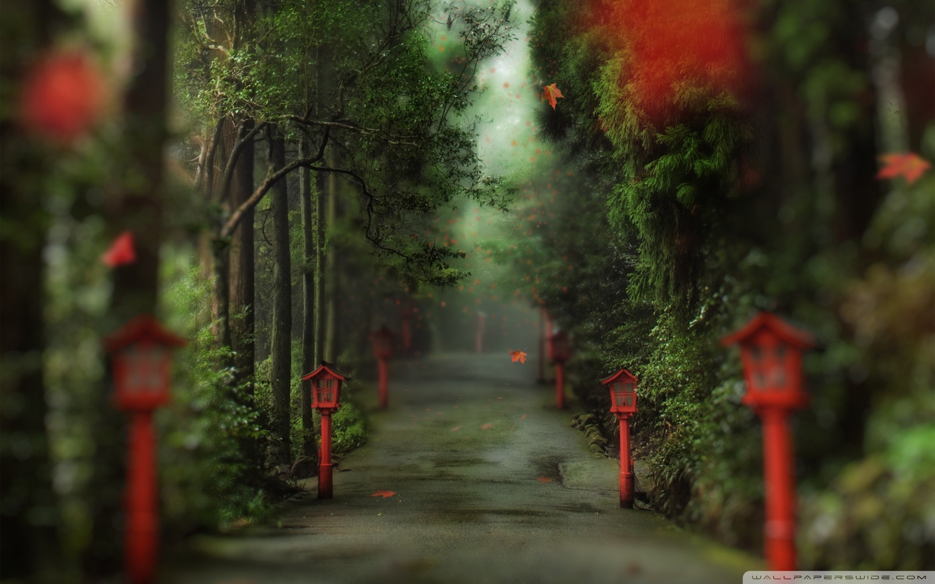 Red lanterns line a misty forest path with falling leaves HD Wallpaper