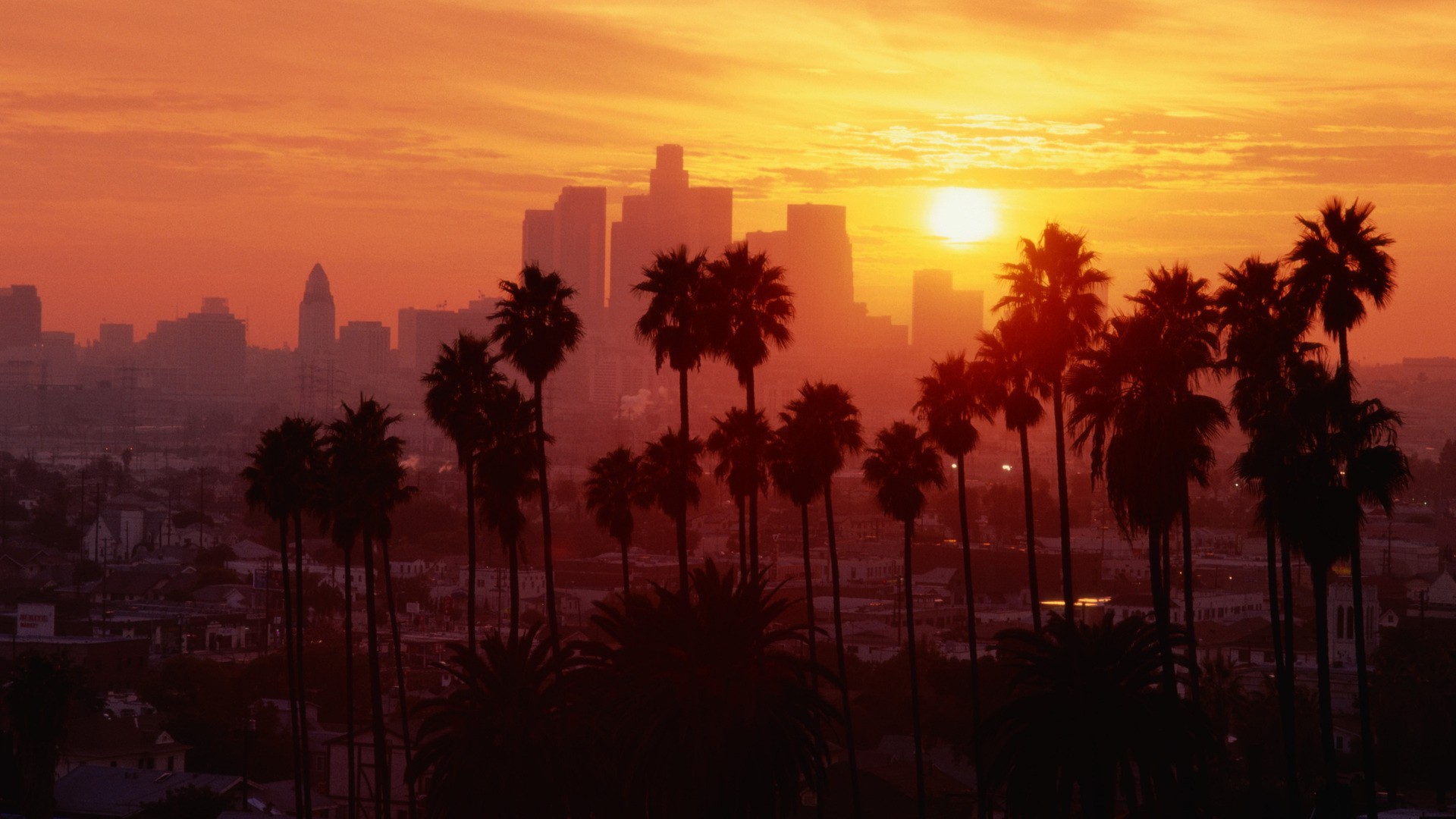 Los Angeles skyline with palm trees at sunset HD Wallpaper