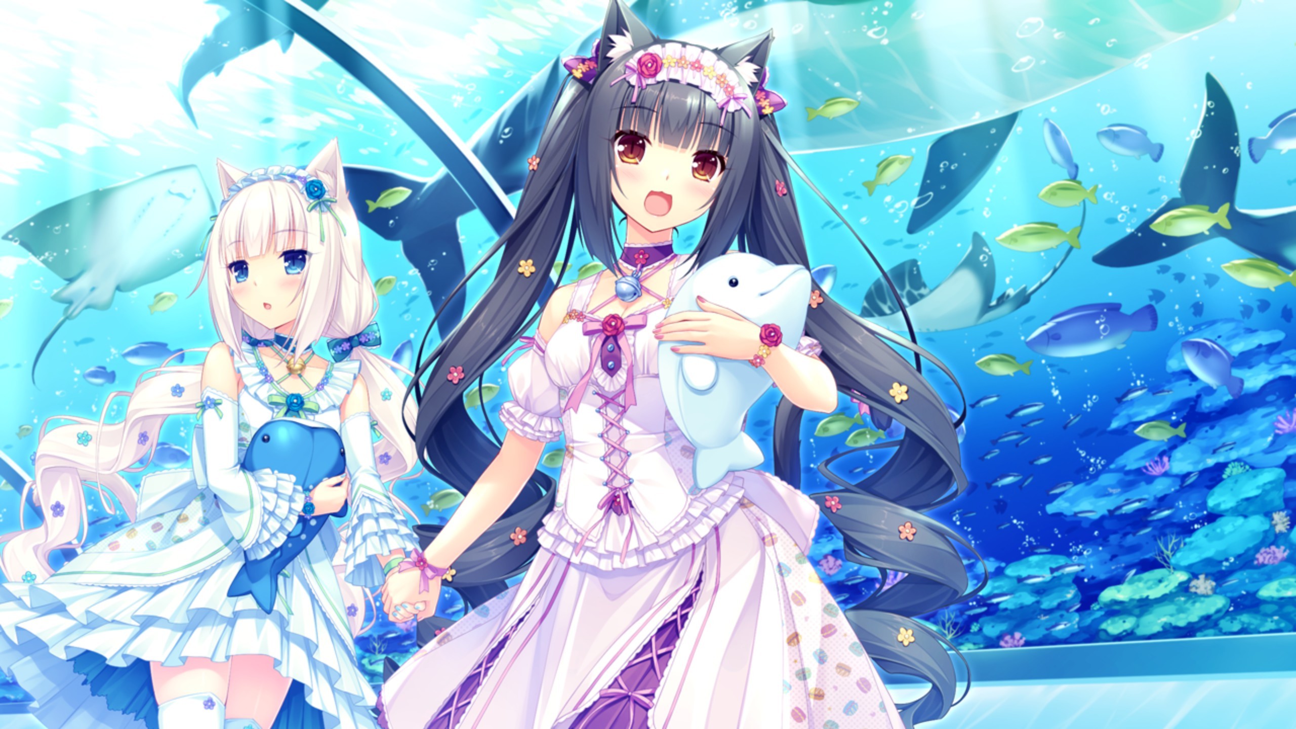 Neko Para: Vanilla and Chocolat at the Aquarium HD Wallpaper