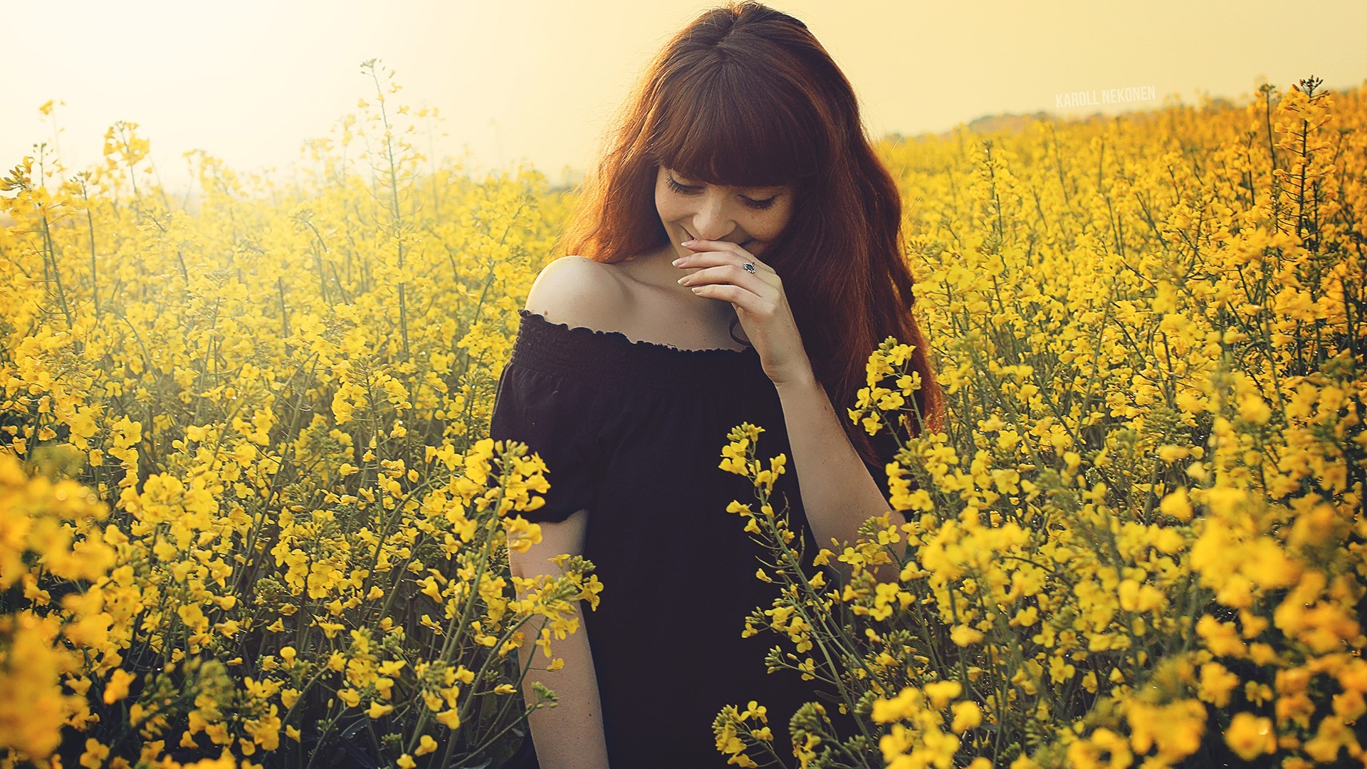 Woman in black dress in a field of yellow flowers HD Wallpaper