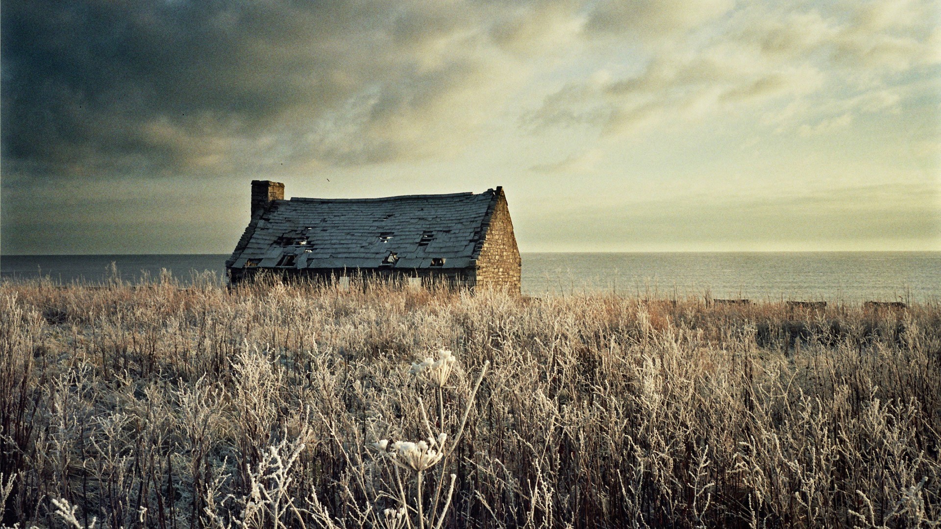 Abandoned stone house in a field by the sea HD Wallpaper