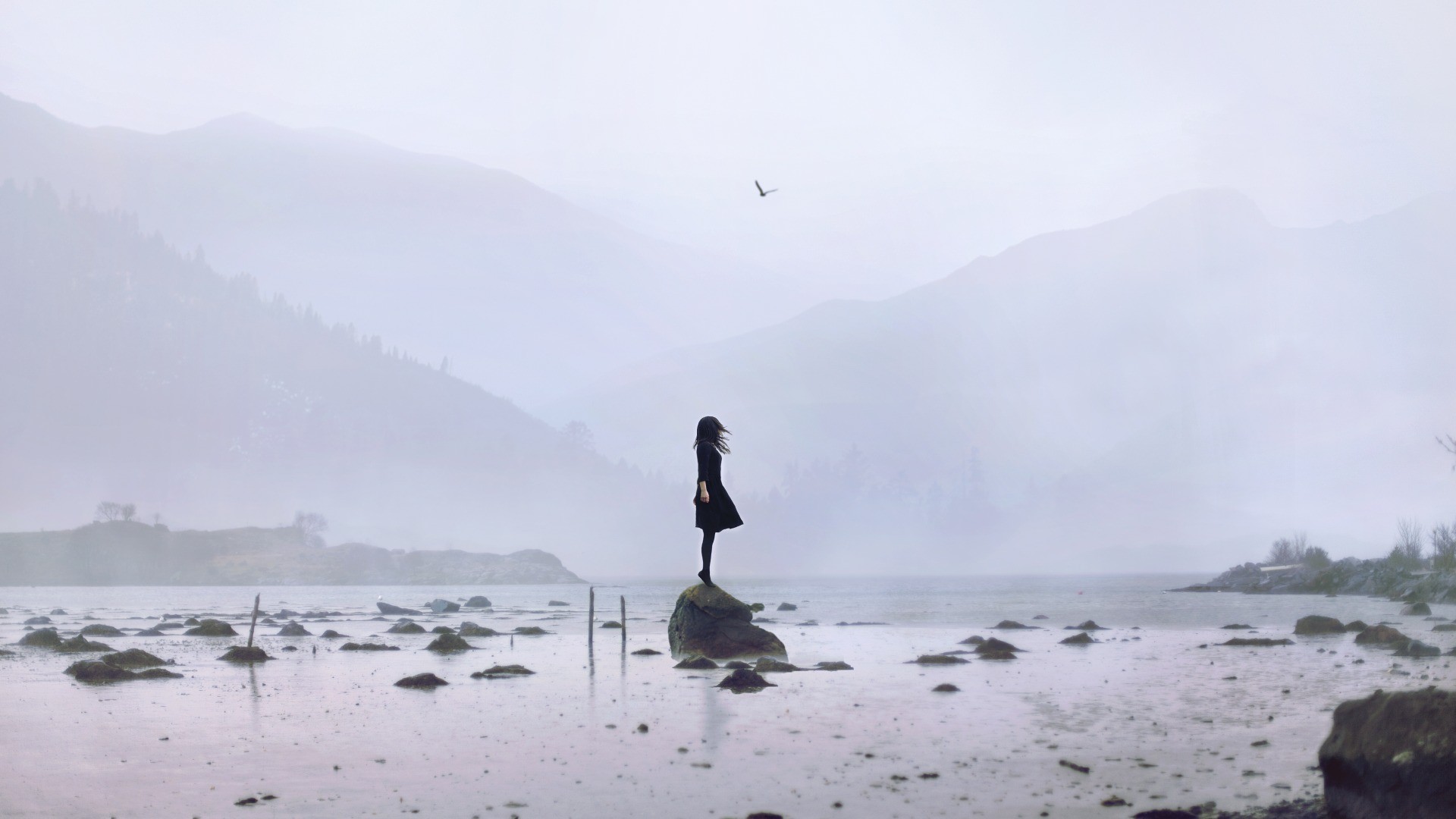Woman in black dress standing on rock in misty mountains HD Wallpaper