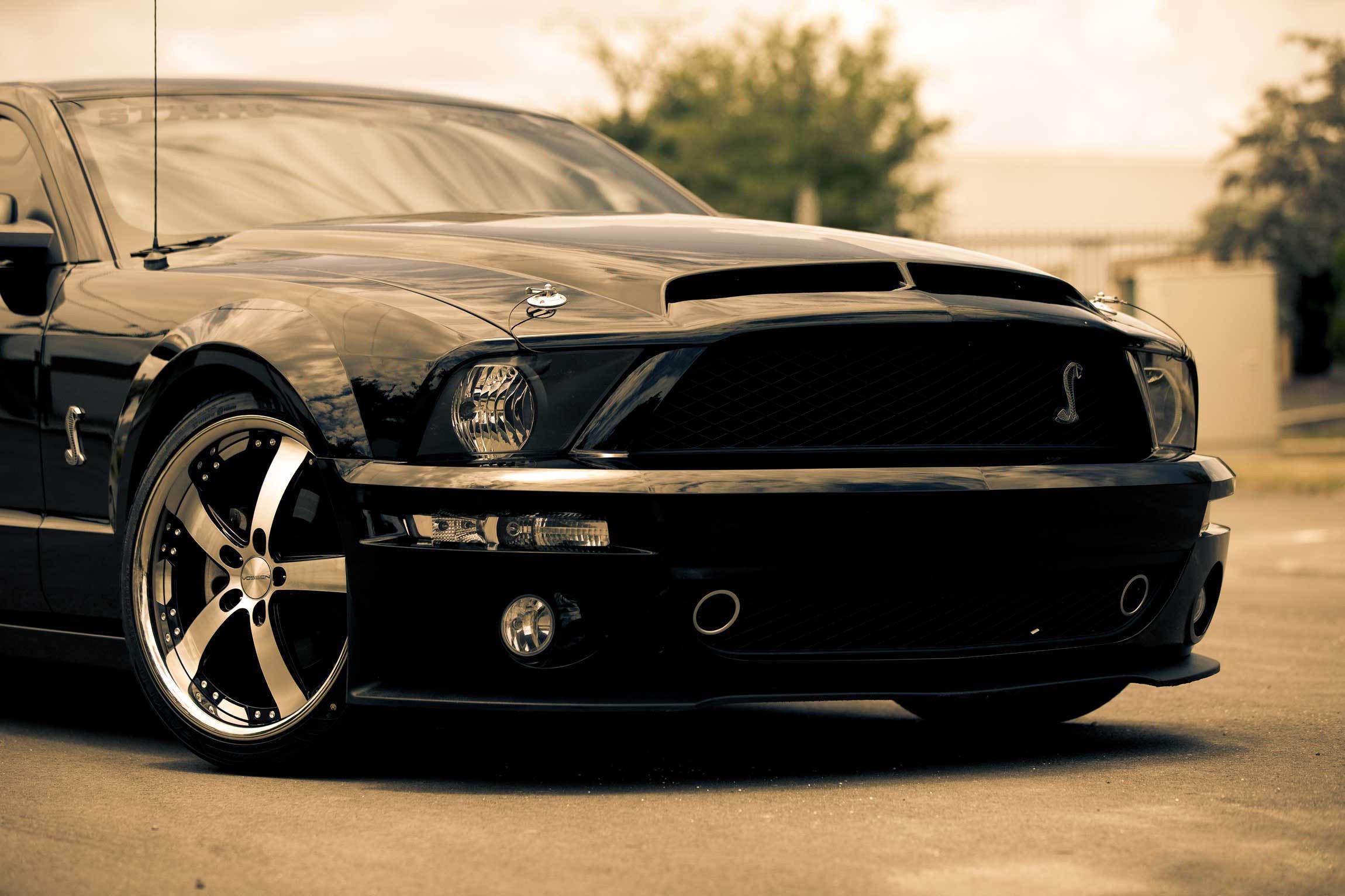 Black Ford Mustang GT Shelby Cobra front view HD Wallpaper