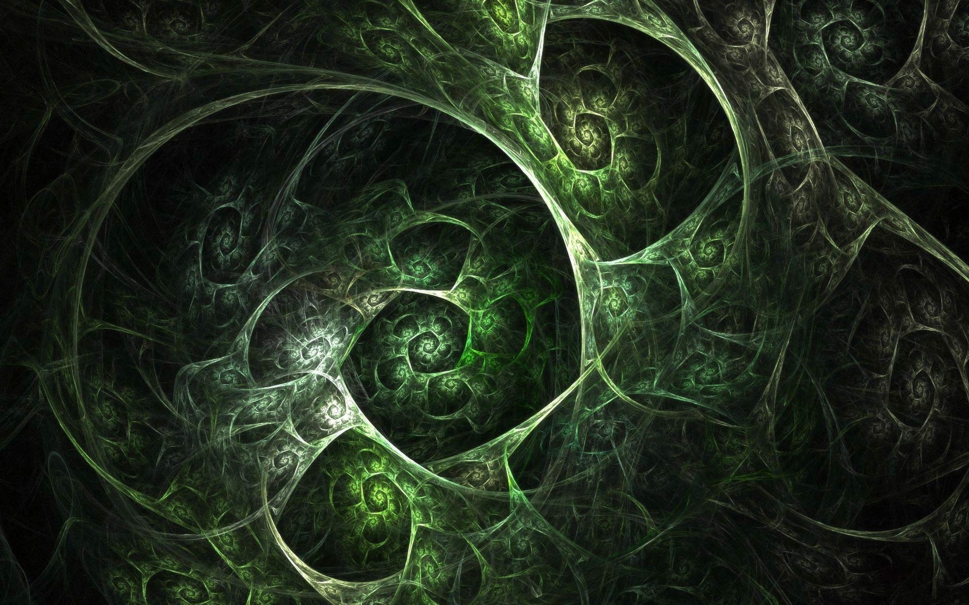 Green fractal pattern with spirals HD Wallpaper