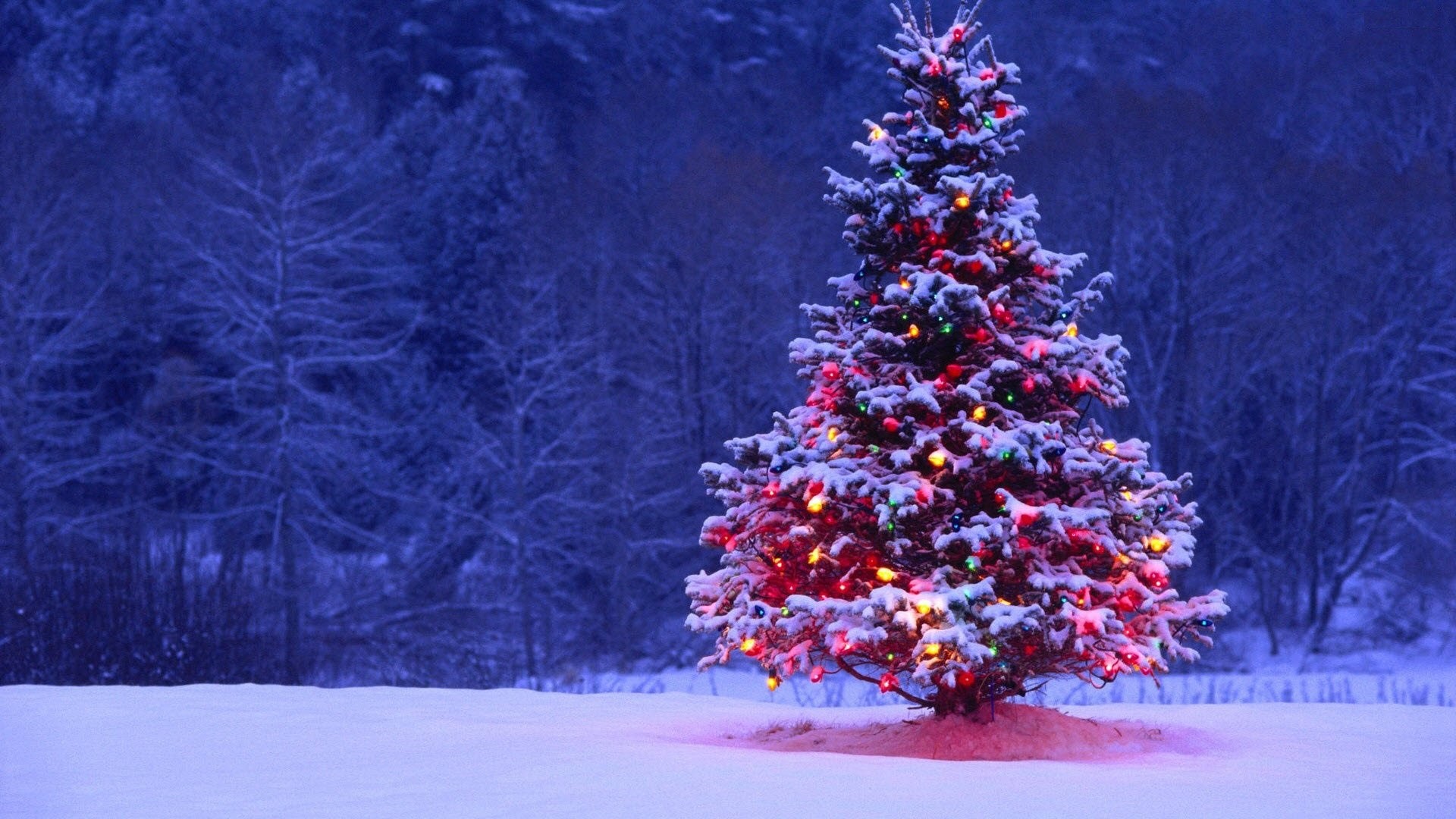 Decorated Christmas tree in a snowy forest HD Wallpaper