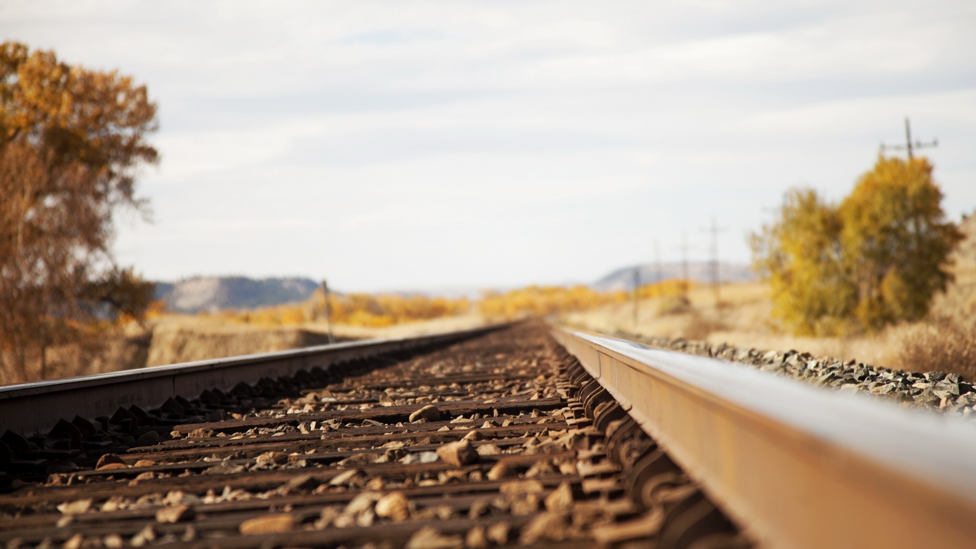 Railway tracks receding into the distance with autumn trees HD Wallpaper