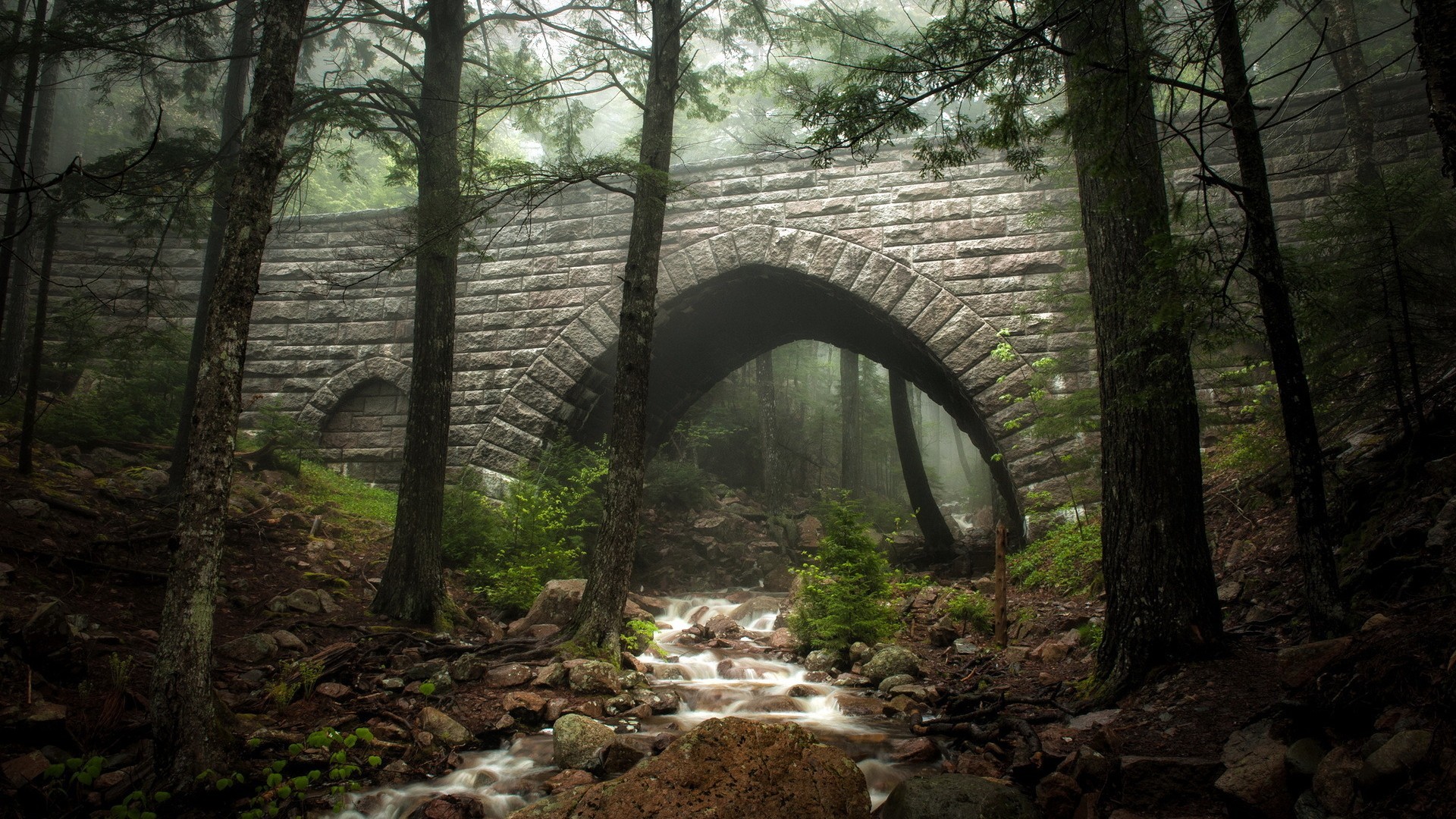 Stone bridge over a stream in a foggy forest HD Wallpaper