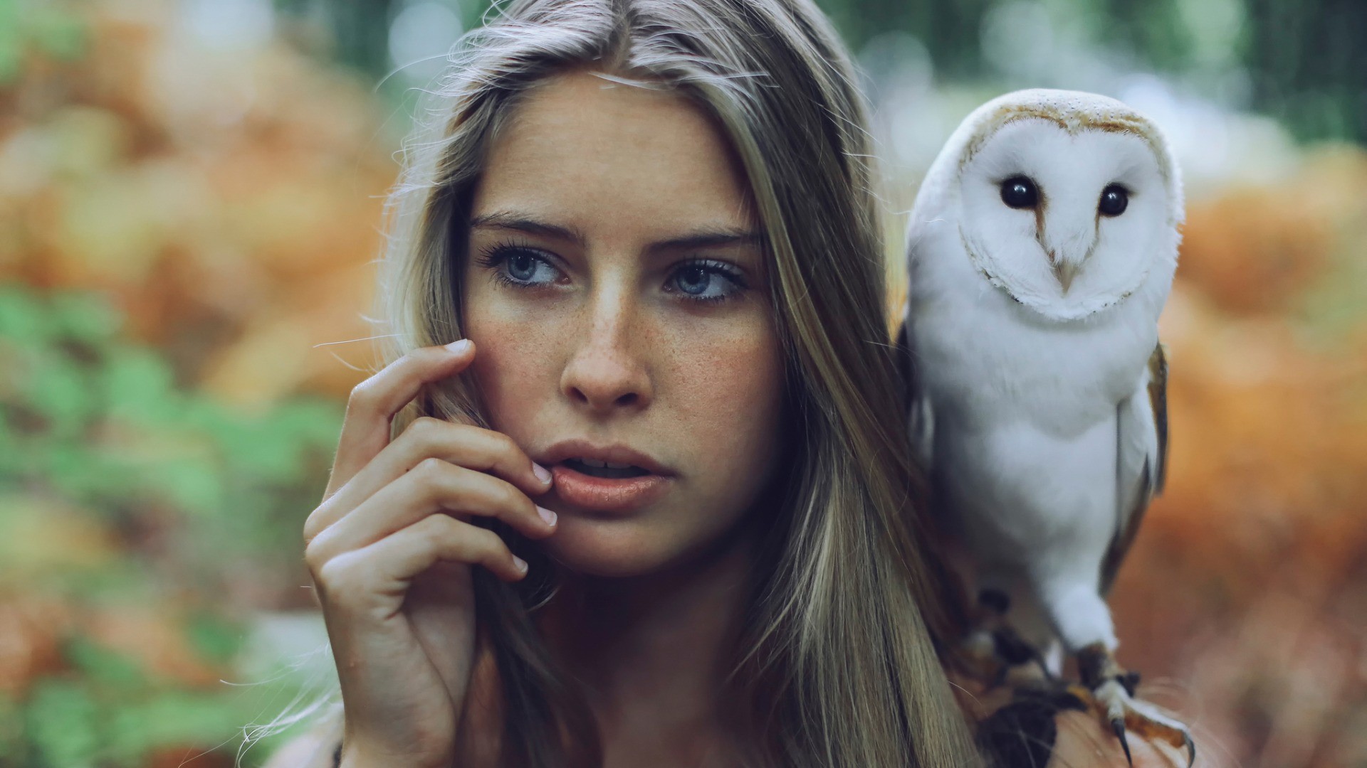 Woman with Barn Owl on her shoulder HD Wallpaper