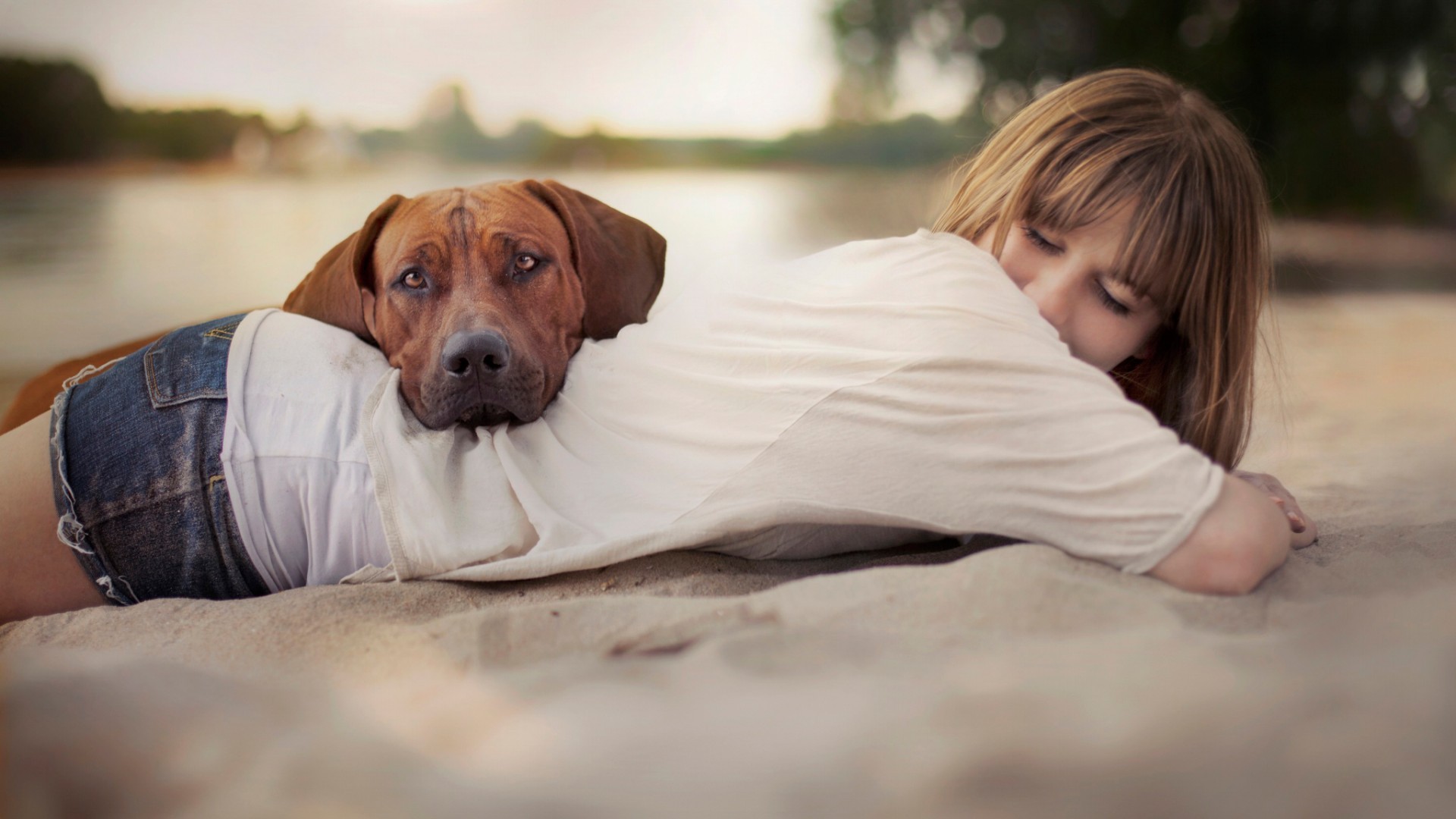 Girl and dog lying on the sand HD Wallpaper