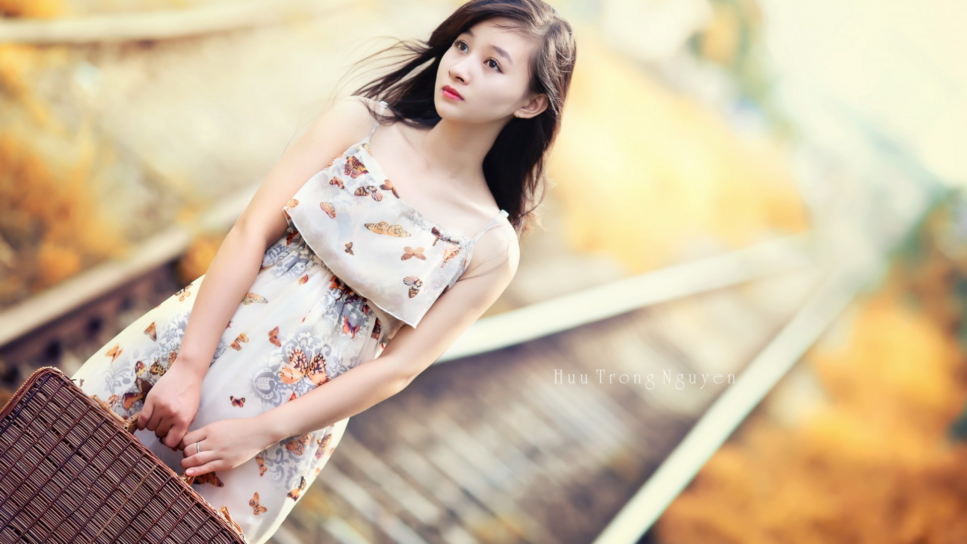 Asian girl in a butterfly dress holding a basket HD Wallpaper