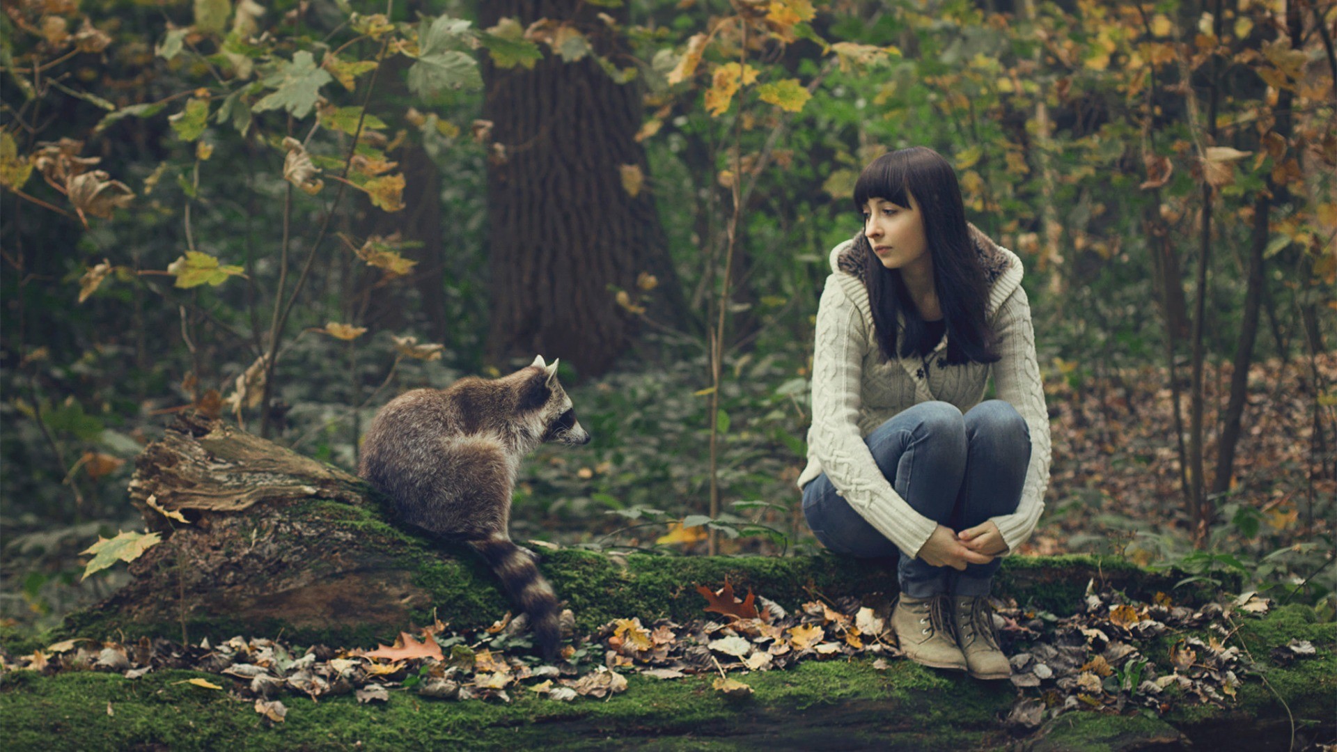 Woman and raccoon sitting on a mossy log in a forest HD Wallpaper