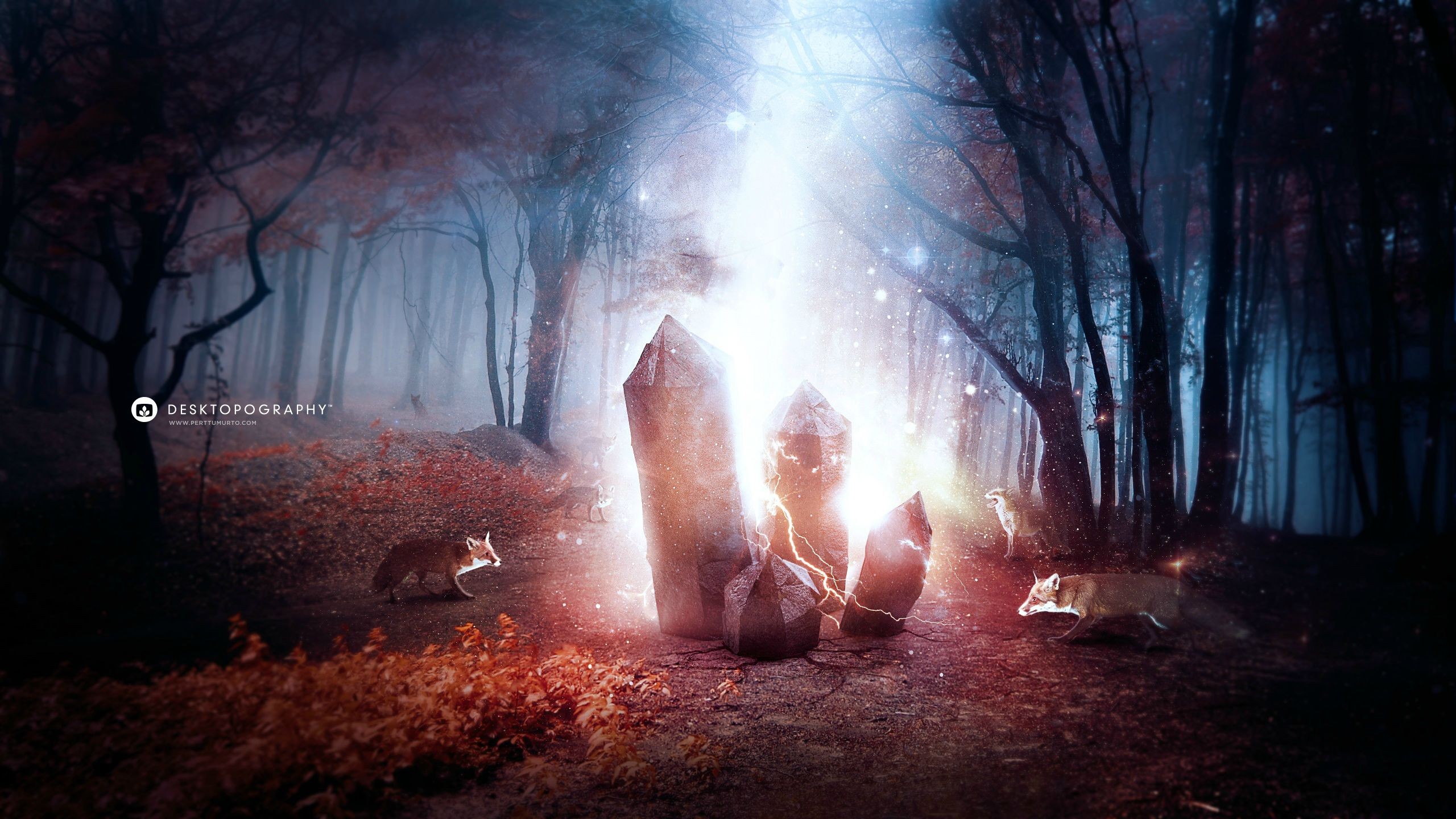 Fantasy forest with crystals and foxes HD Wallpaper