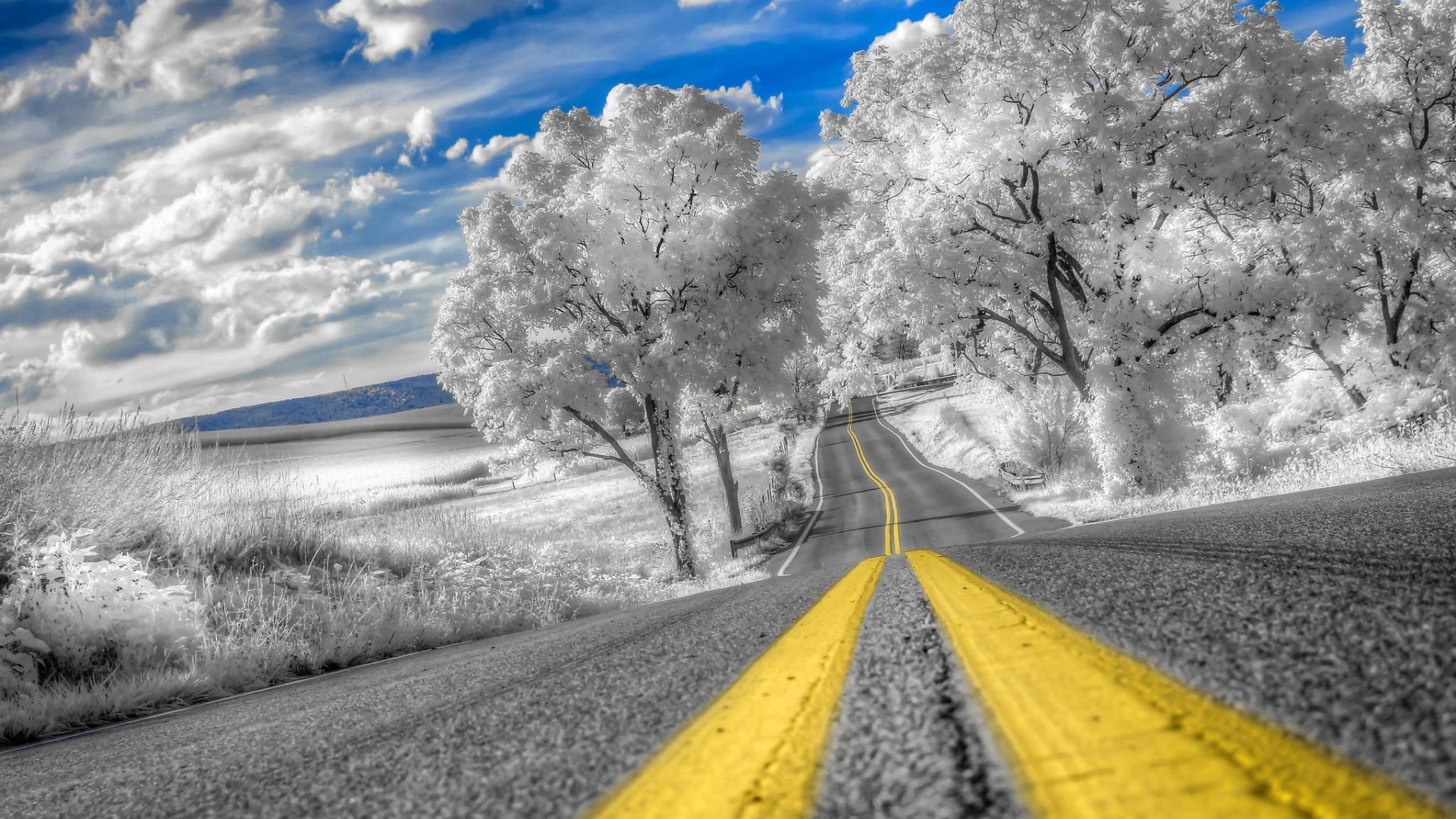Road through a landscape with trees and clouds HD Wallpaper
