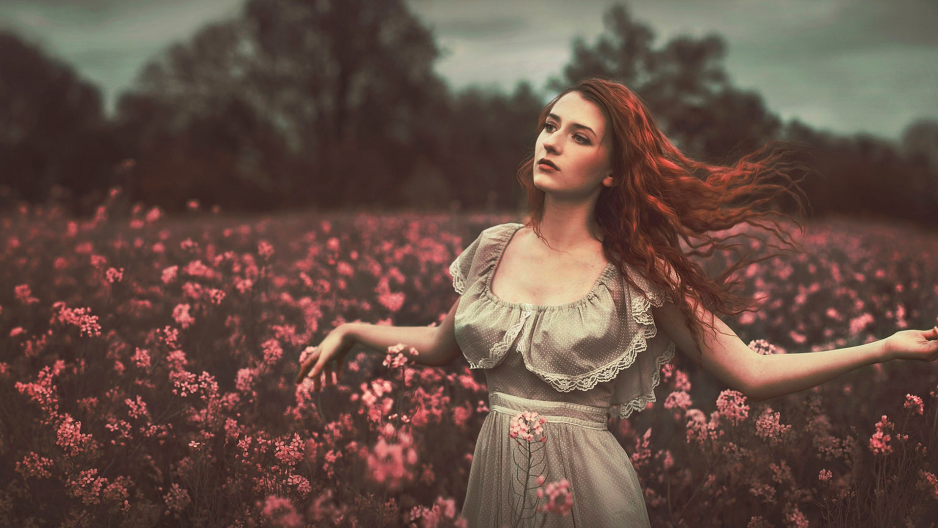 Redhead woman in a field of pink flowers HD Wallpaper