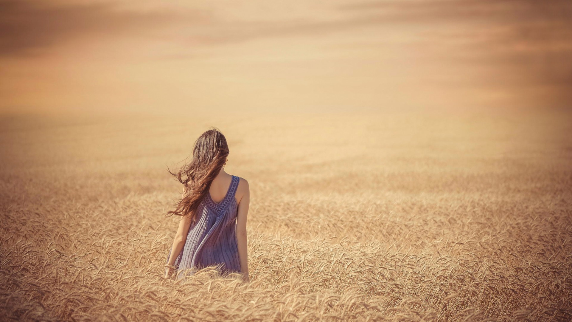 Woman in a blue dress in a wheat field HD Wallpaper