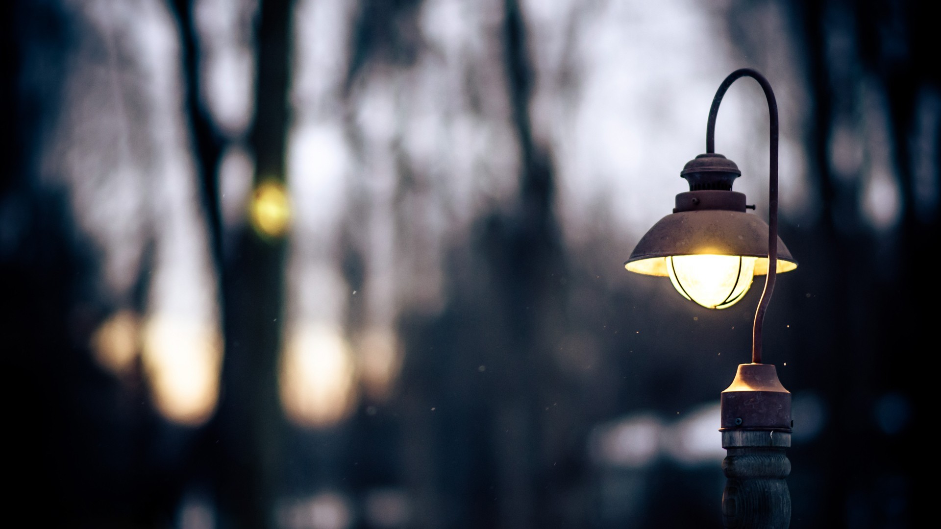 Street light with bokeh effect HD Wallpaper