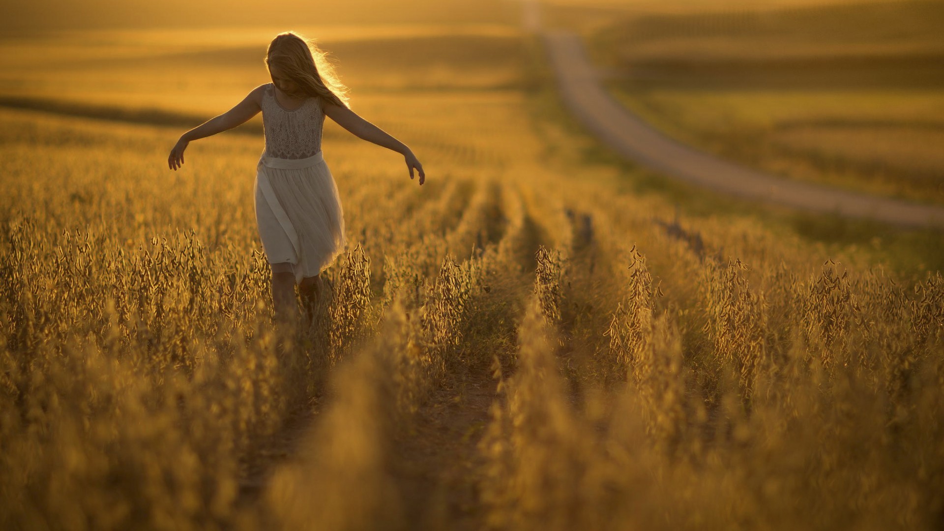 Girl in white dress running through a golden field in Nebraska HD Wallpaper