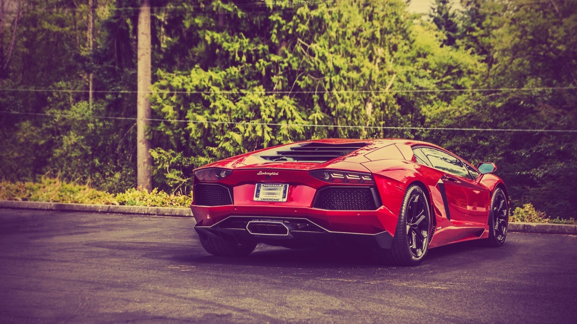 Red Lamborghini Aventador parked near trees HD Wallpaper