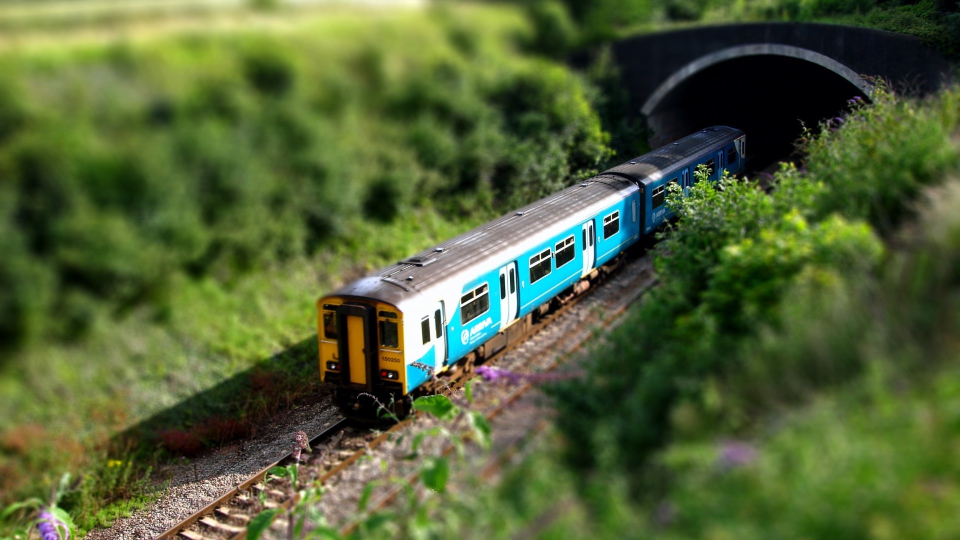 Blue and yellow train approaching a tunnel HD Wallpaper