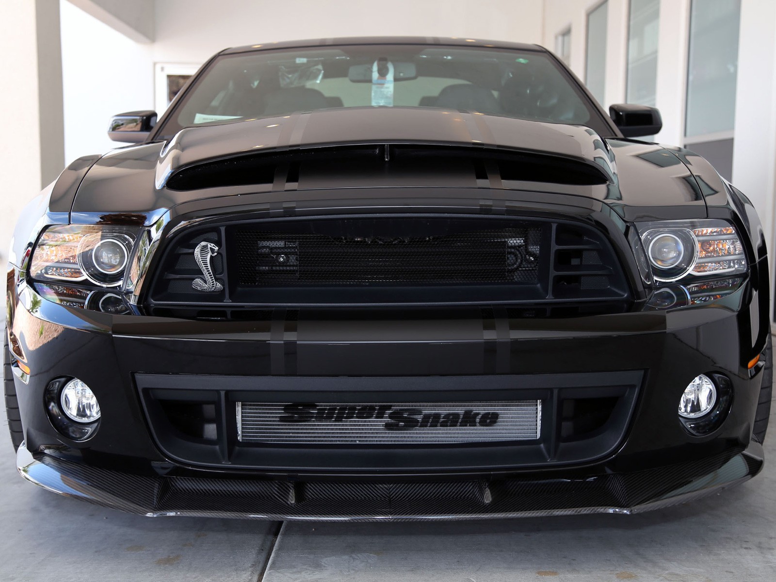Black Shelby Super Snake Mustang Front View HD Wallpaper