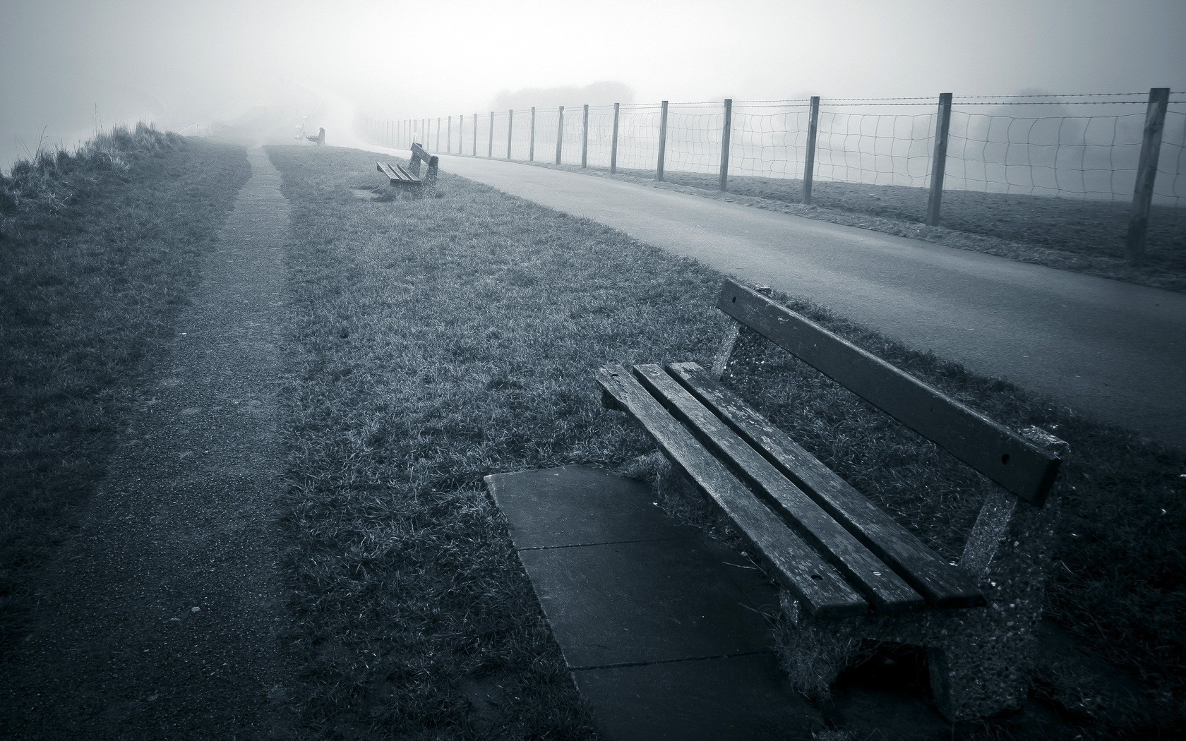 A foggy landscape with a path and benches HD Wallpaper