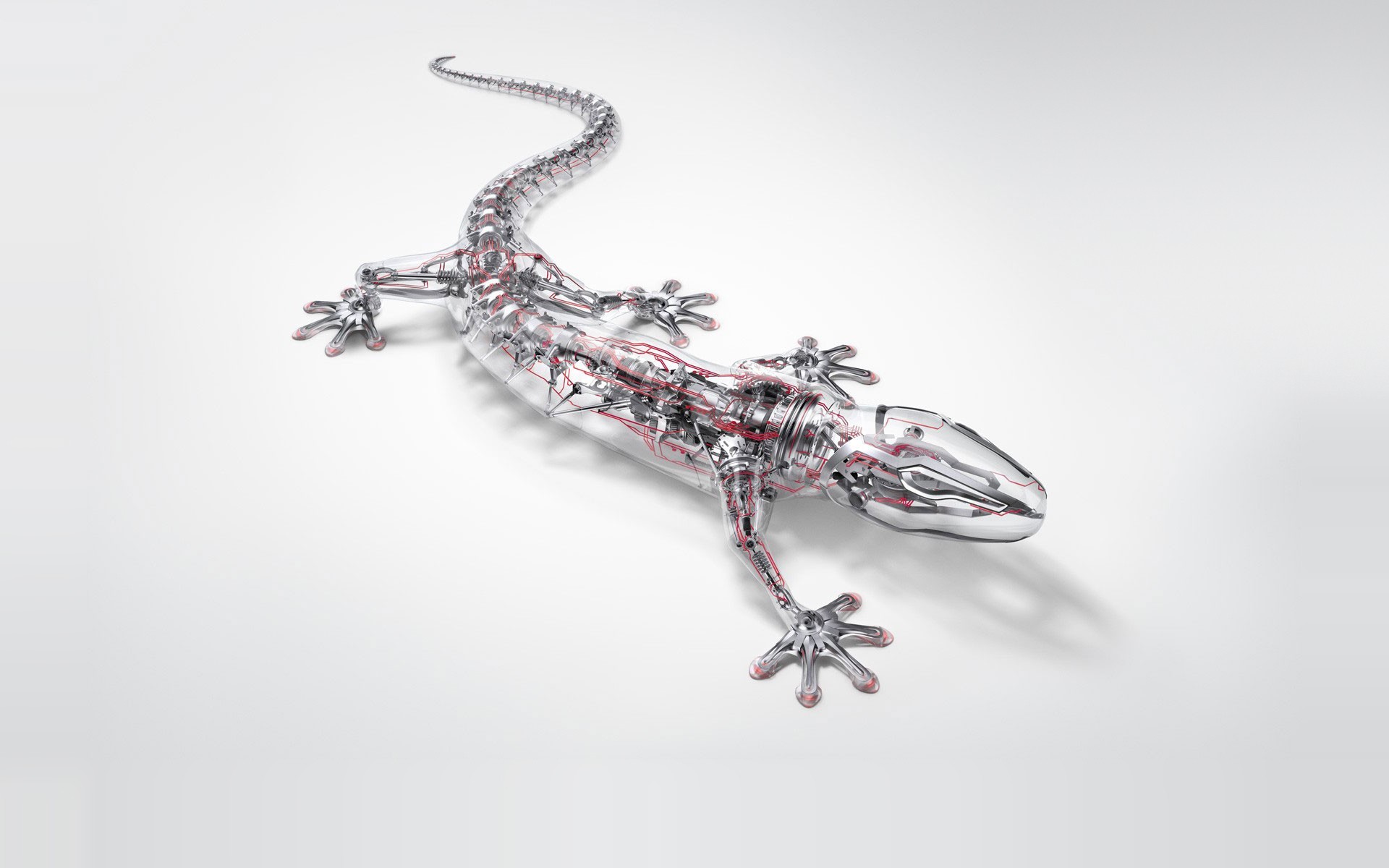 Transparent robotic lizard with internal wiring on white background HD Wallpaper