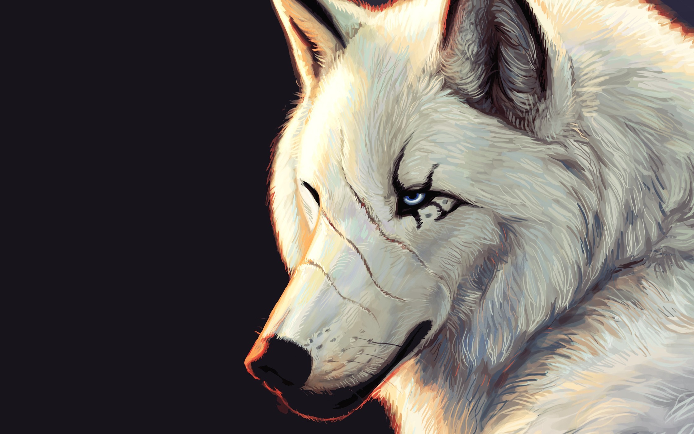 Artwork of a white wolf with blue eyes HD Wallpaper