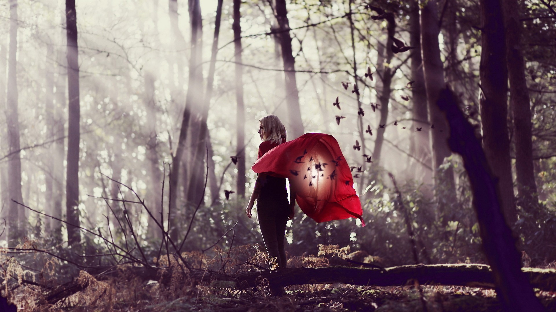 Woman in red cape with birds in forest HD Wallpaper