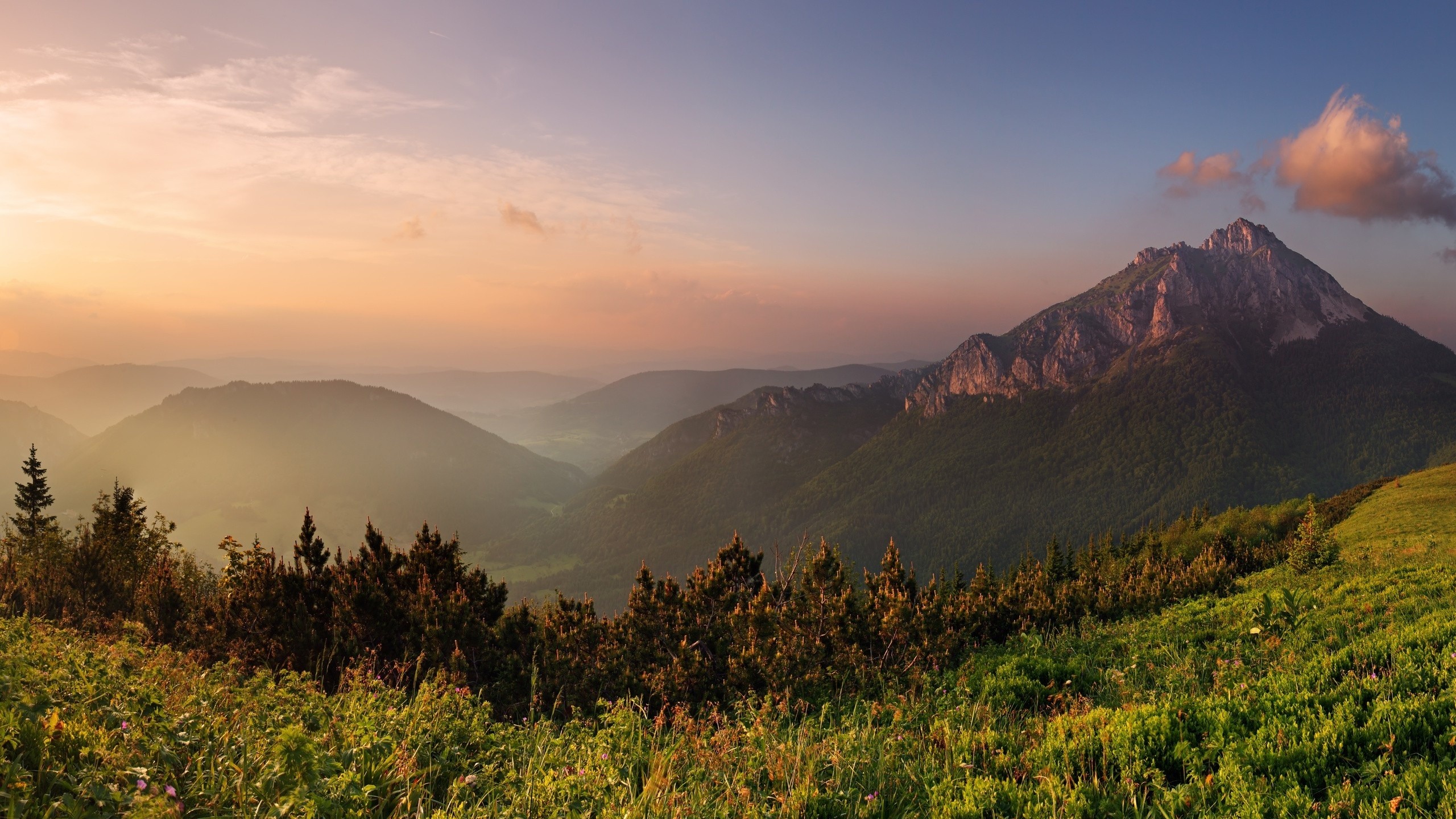 Misty mountains at sunset with green foreground HD Wallpaper