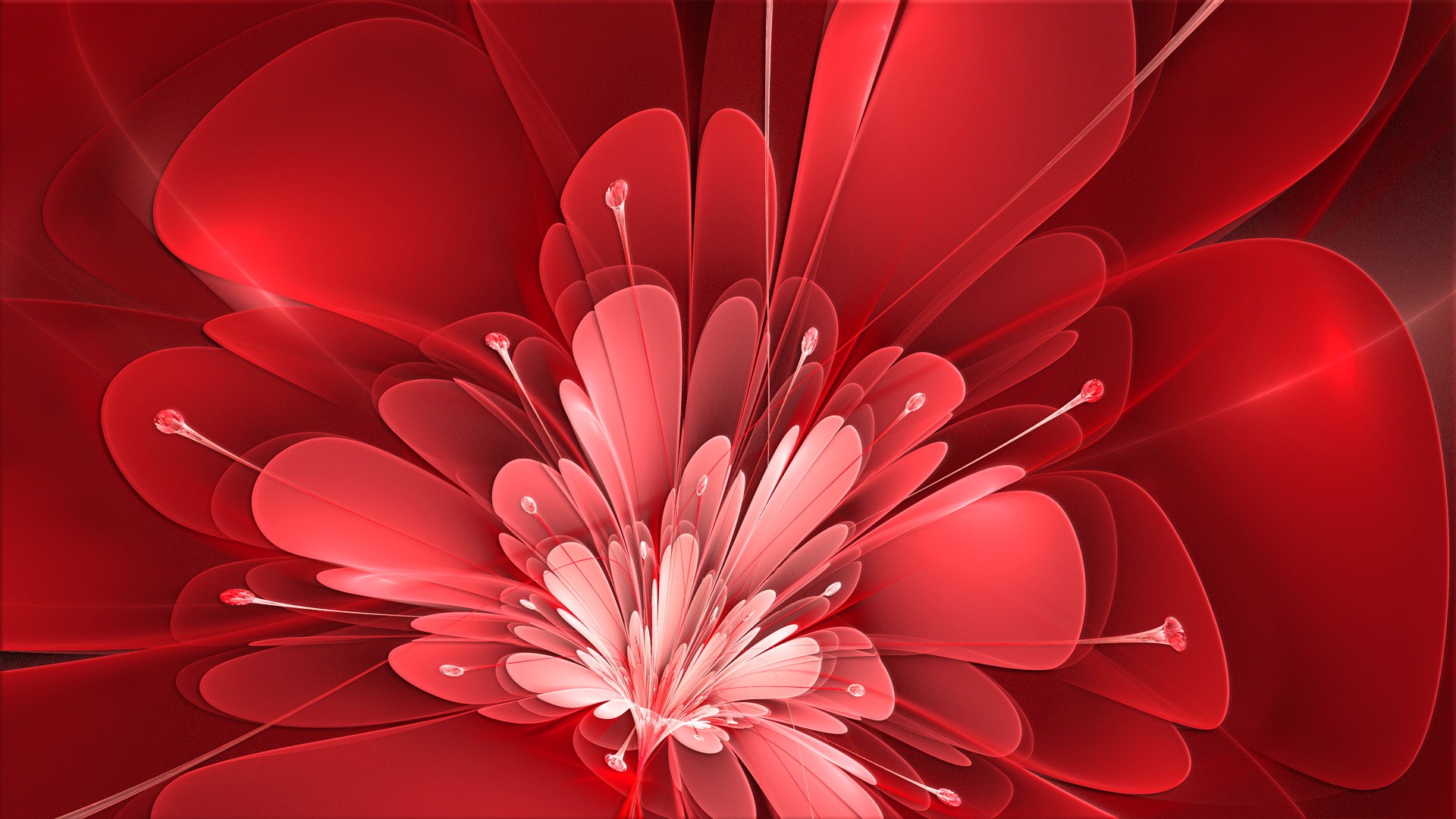 Abstract red fractal flower HD Wallpaper