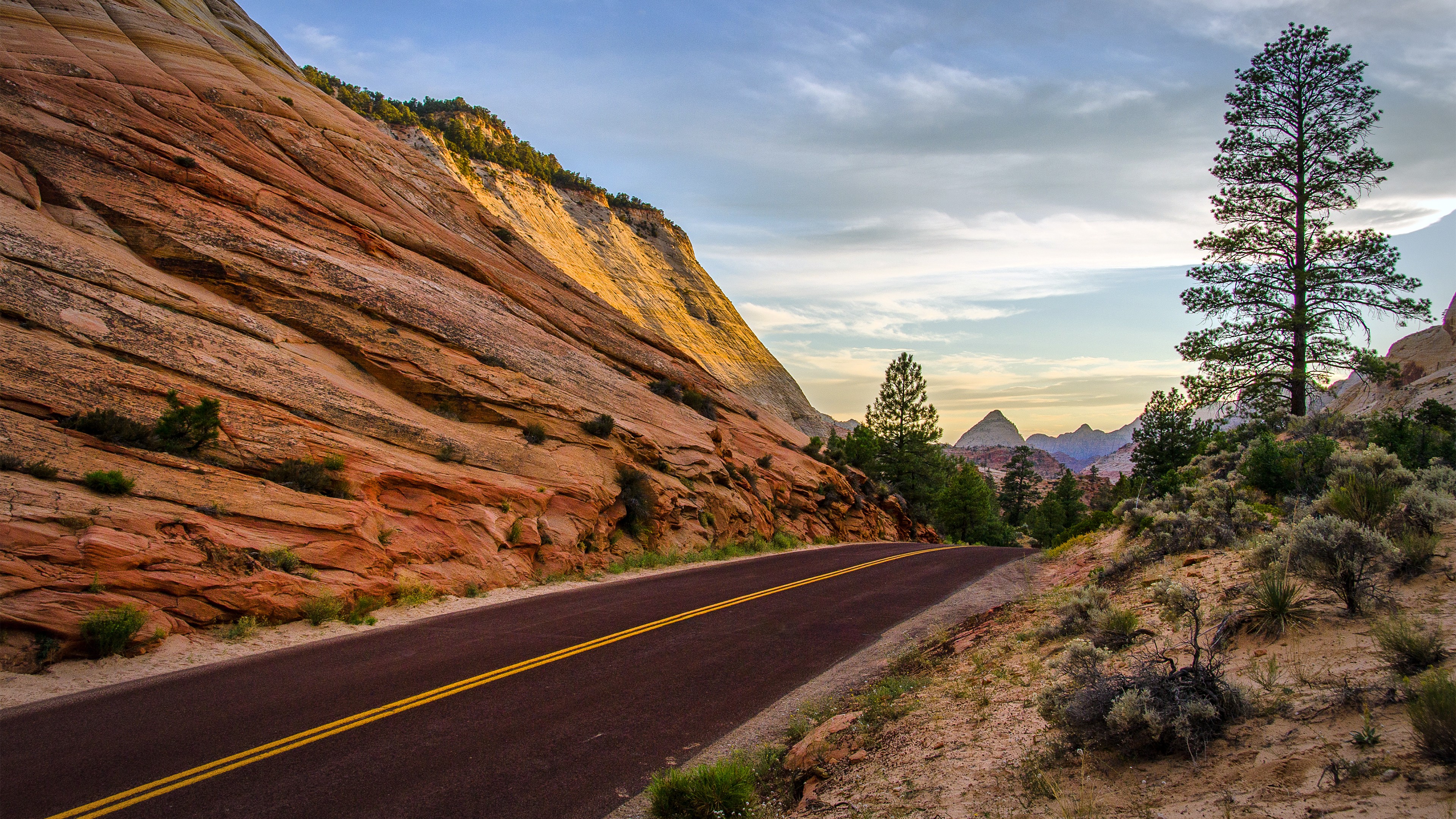 Road through Zion National Park, USA HD Wallpaper