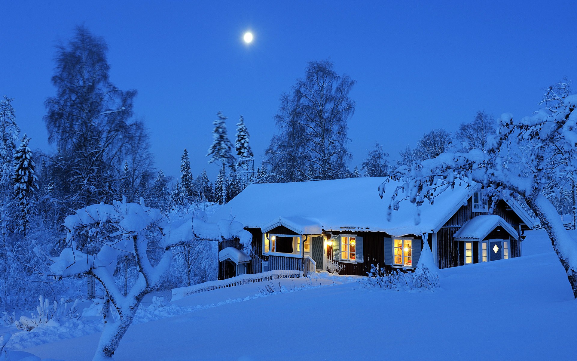 Cozy cabin in a snowy forest at night HD Wallpaper