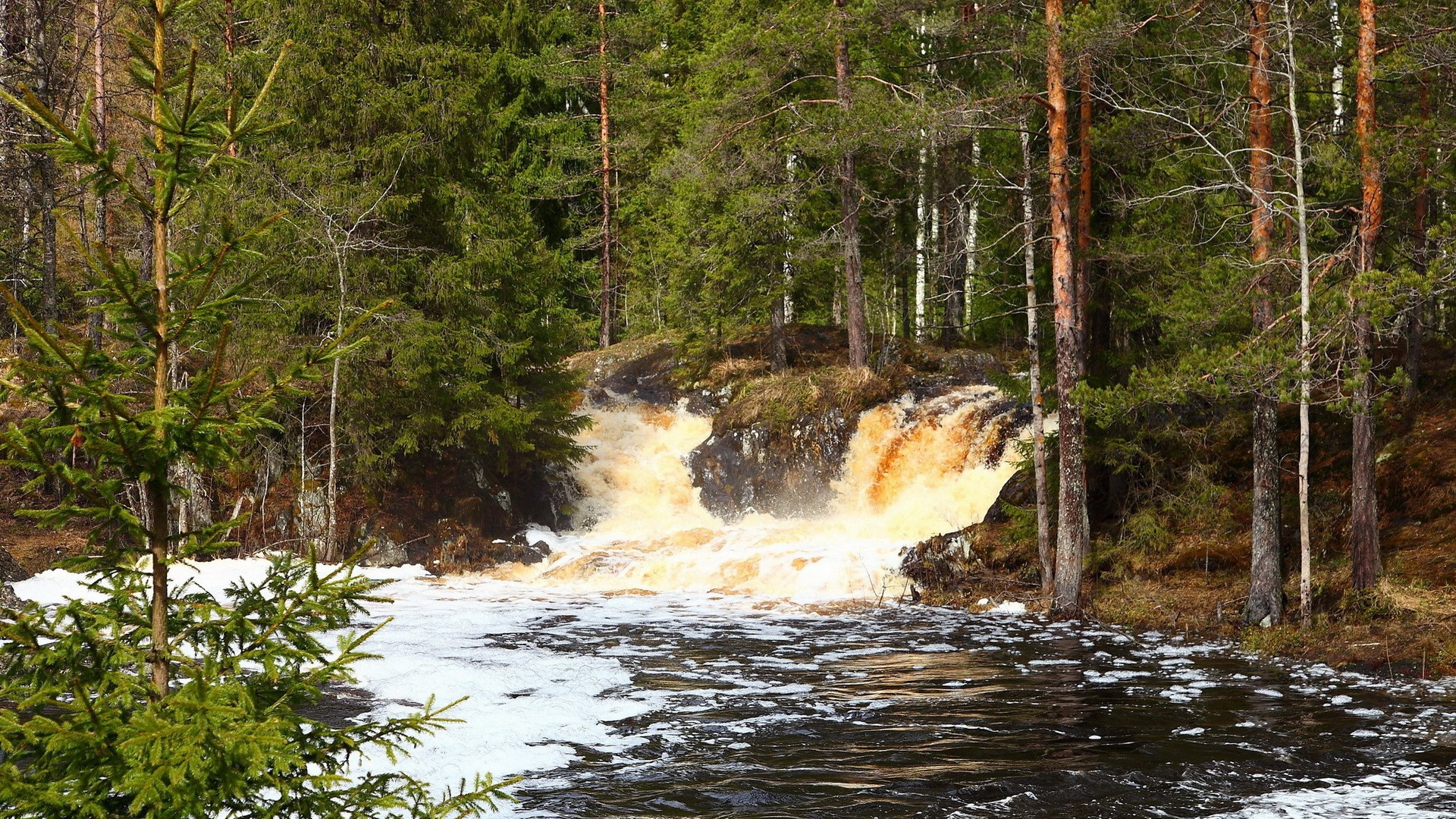 Waterfall in a forest with snow patches HD Wallpaper