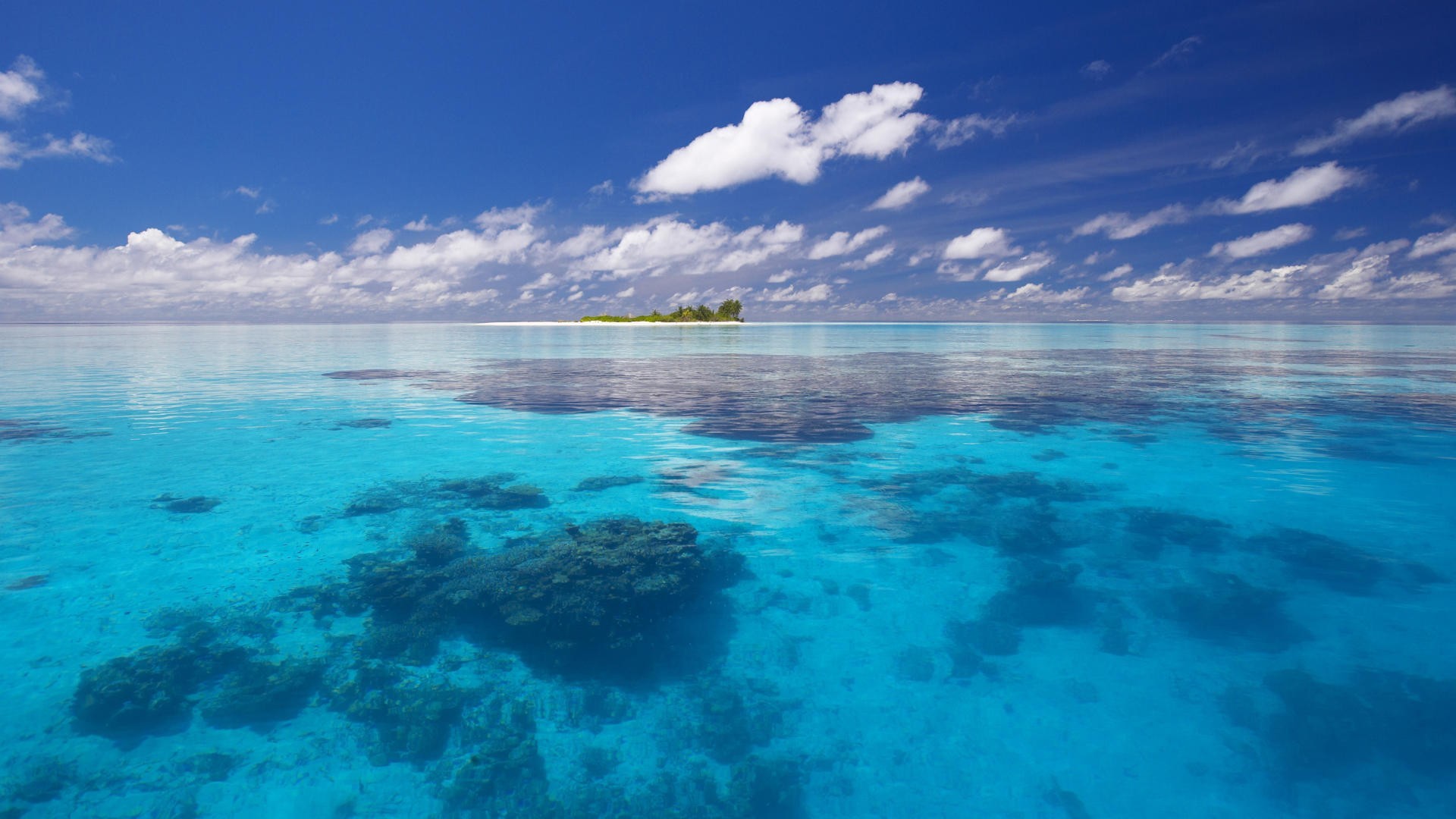 Tropical island in a clear blue ocean under clouds HD Wallpaper